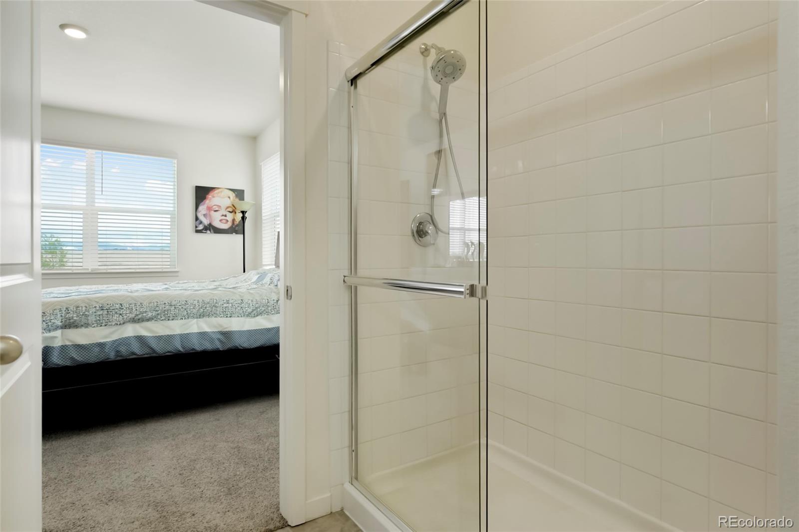 MLS Image #15 for 4155  limestone avenue,longmont, Colorado