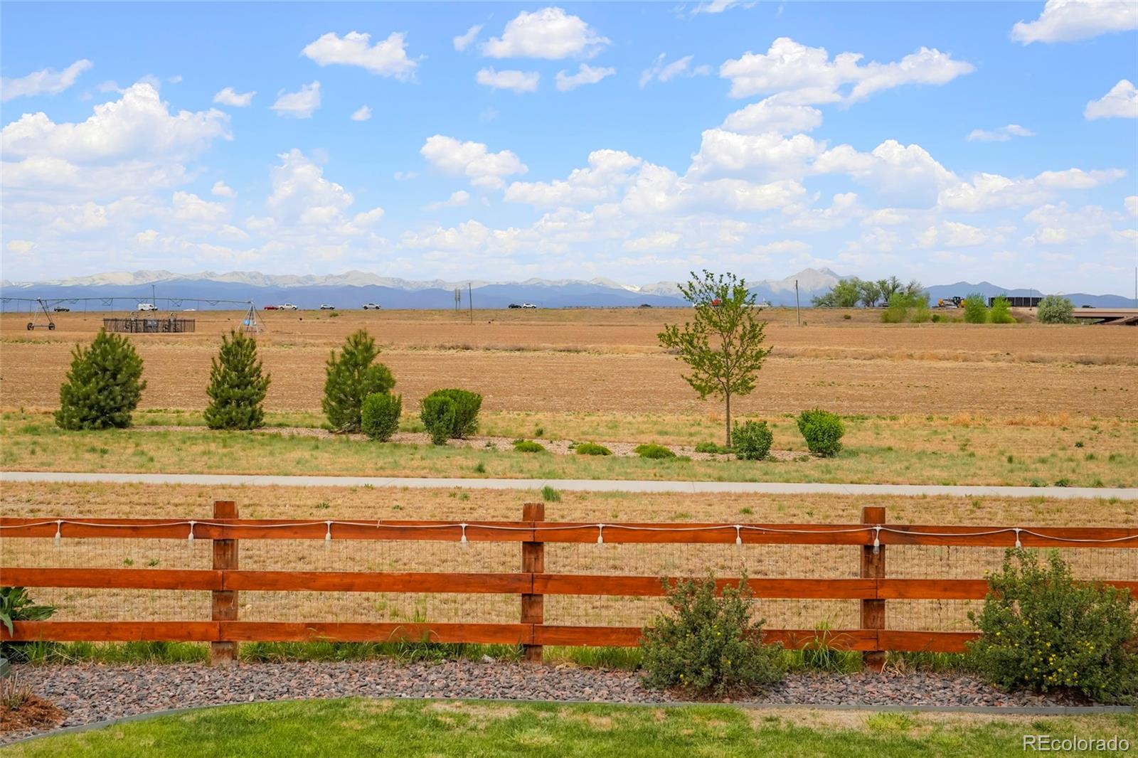 MLS Image #23 for 4155  limestone avenue,longmont, Colorado