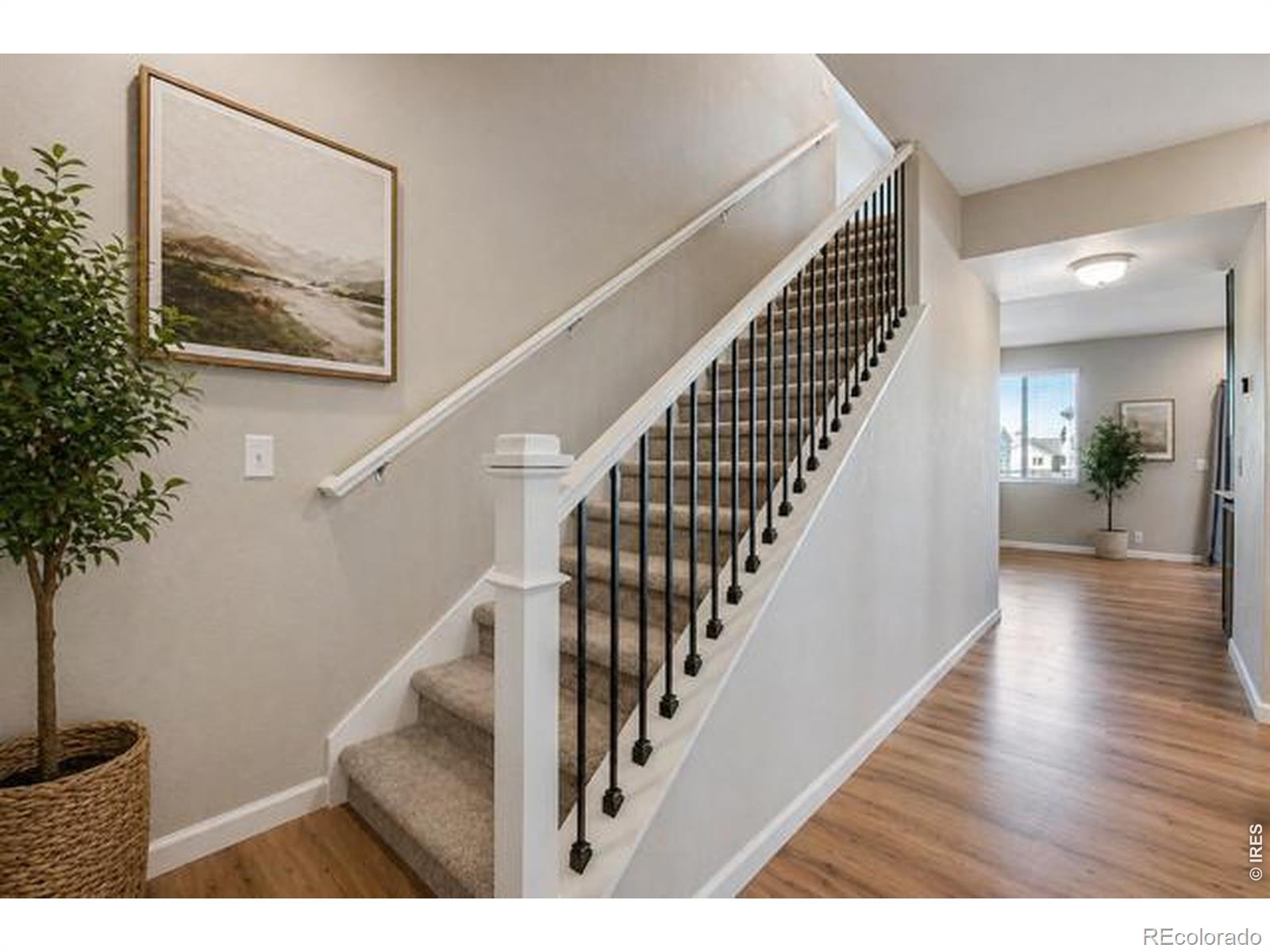 MLS Image #3 for 109  morgan circle,erie, Colorado