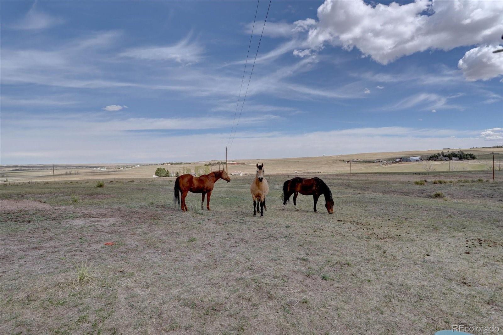 MLS Image #10 for 11159  pine meadows drive,kiowa, Colorado