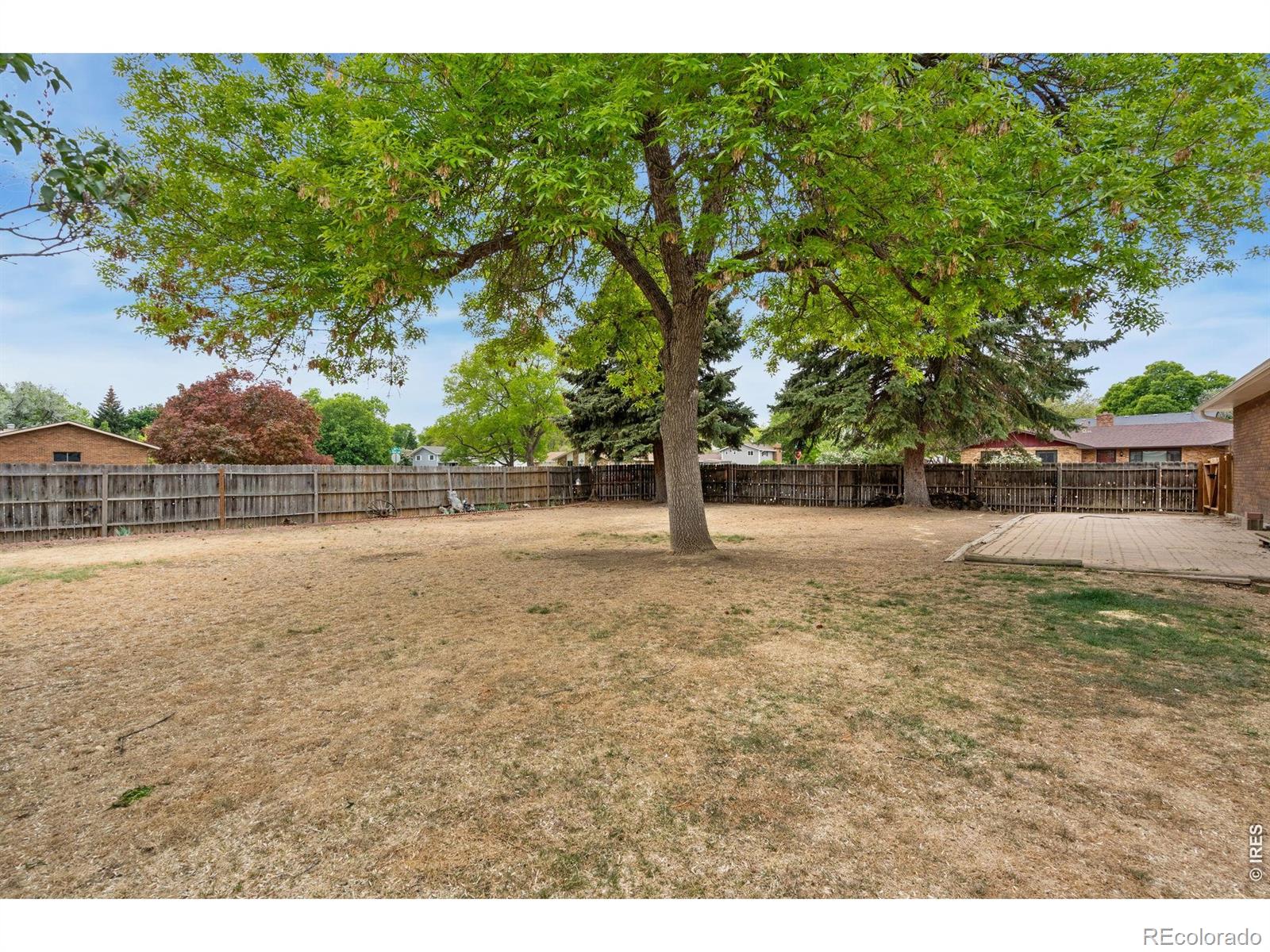 MLS Image #12 for 1244  tupelo drive,loveland, Colorado