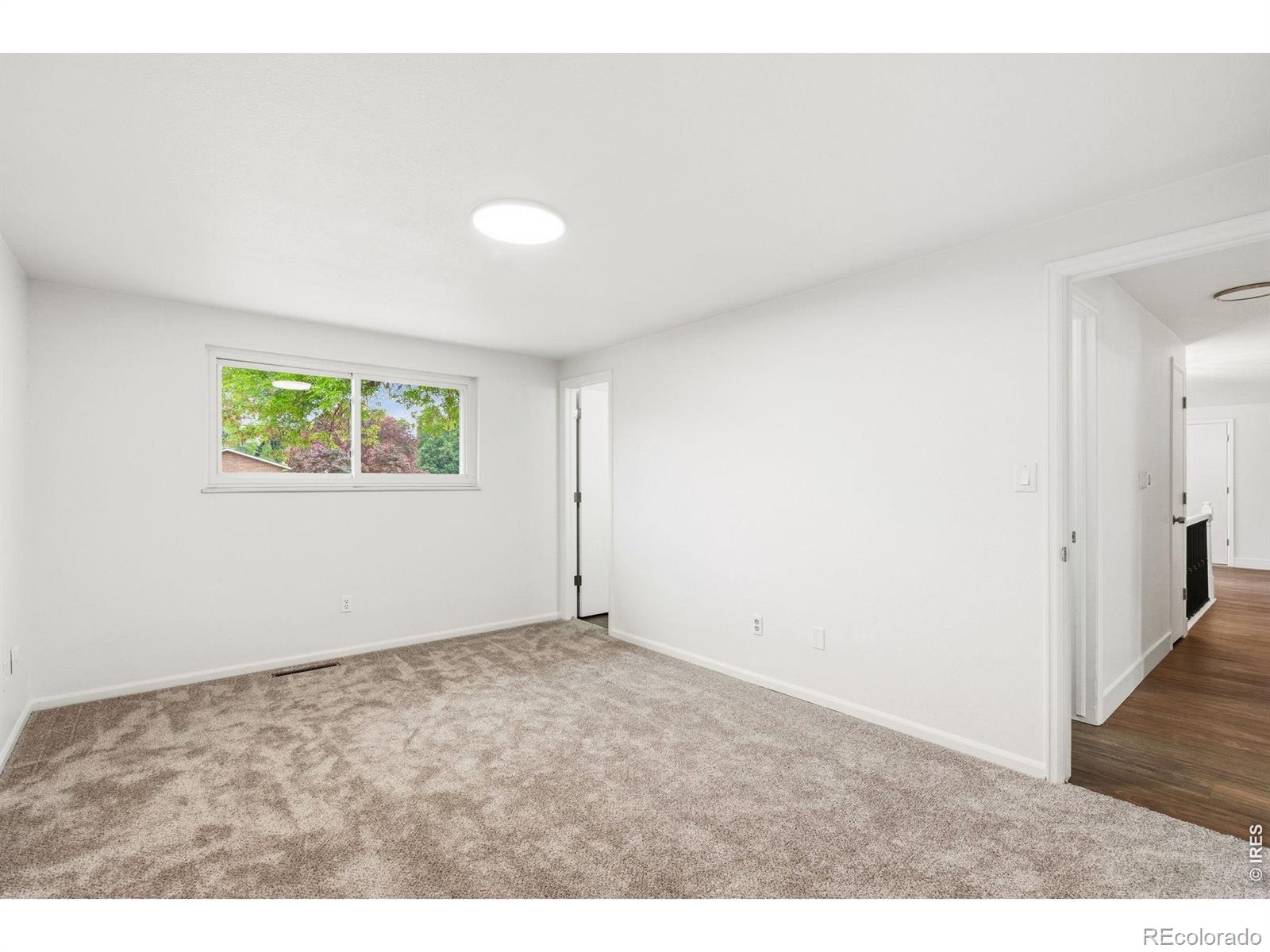 MLS Image #5 for 1244  tupelo drive,loveland, Colorado