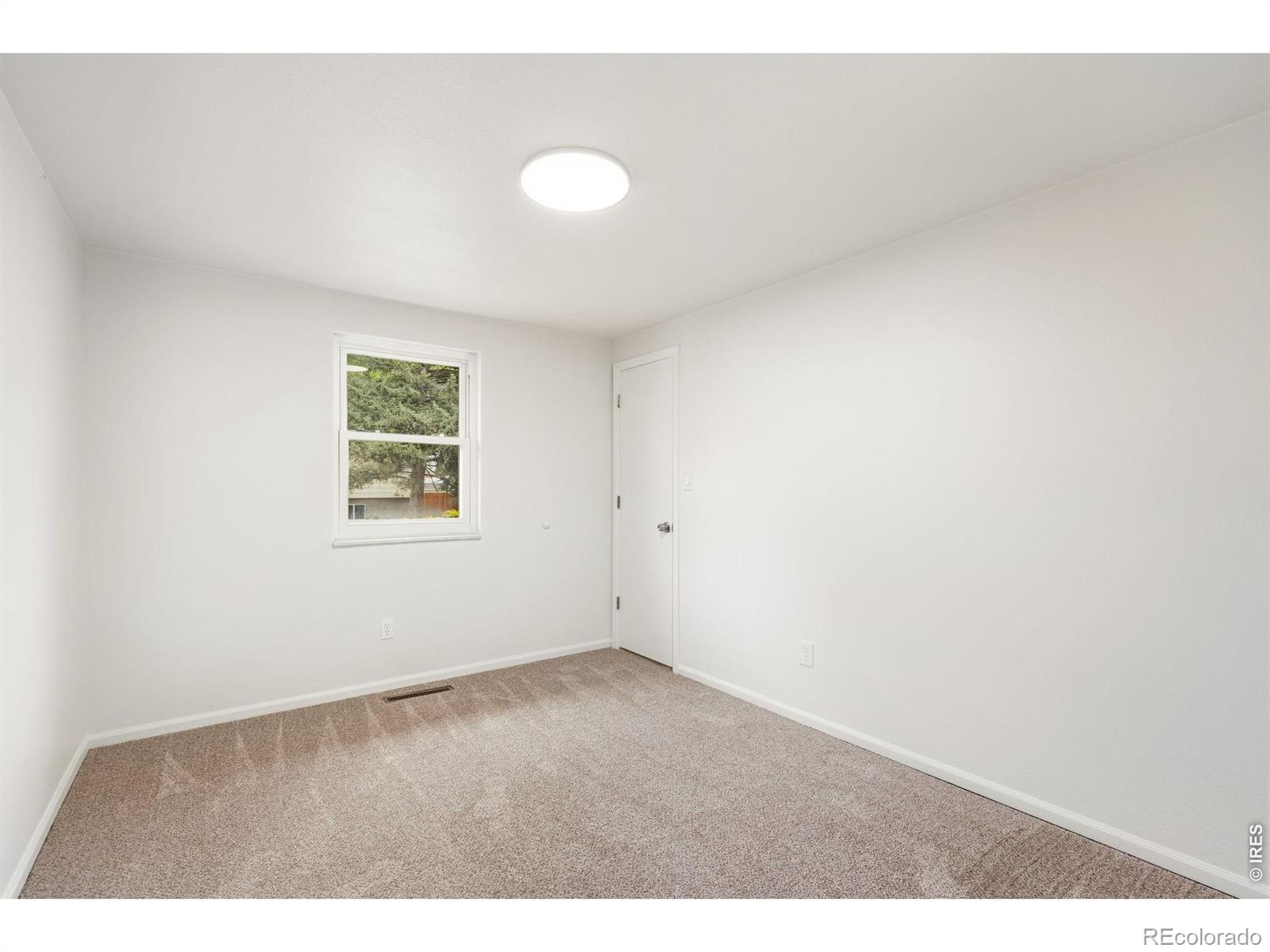 MLS Image #7 for 1244  tupelo drive,loveland, Colorado