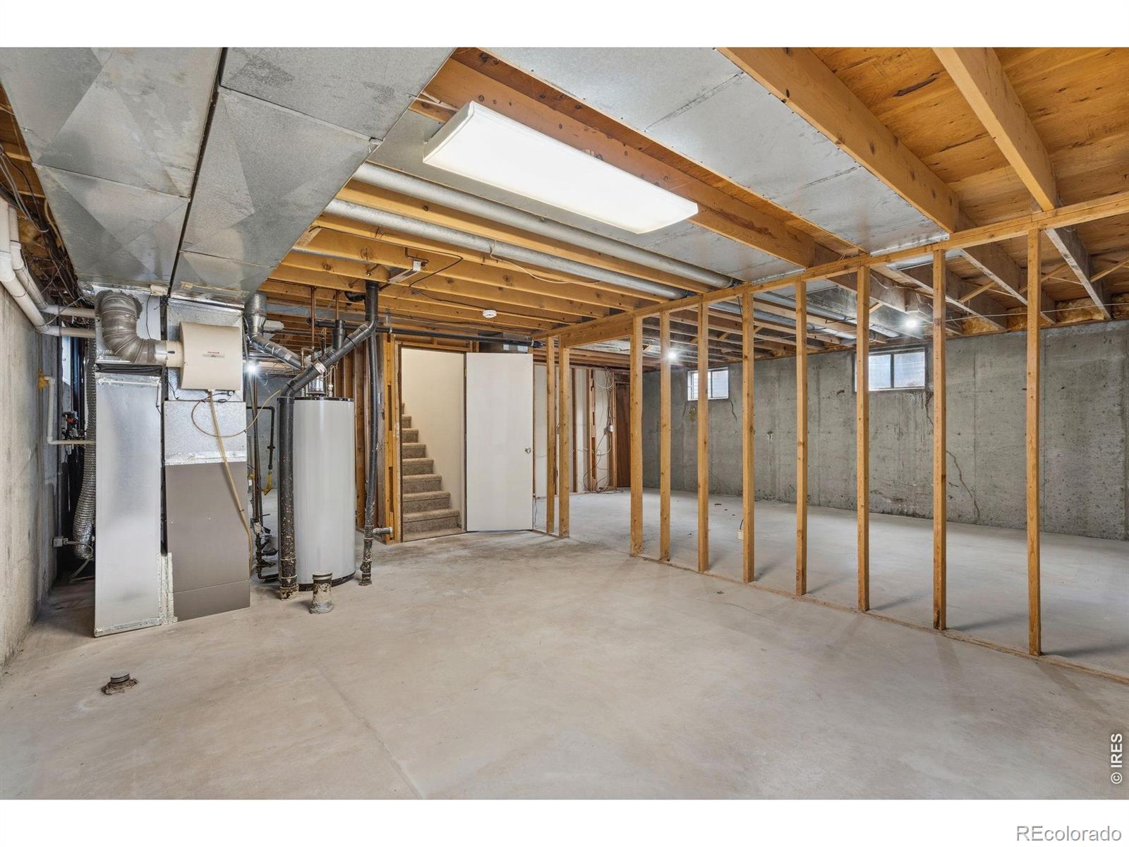 MLS Image #9 for 1244  tupelo drive,loveland, Colorado