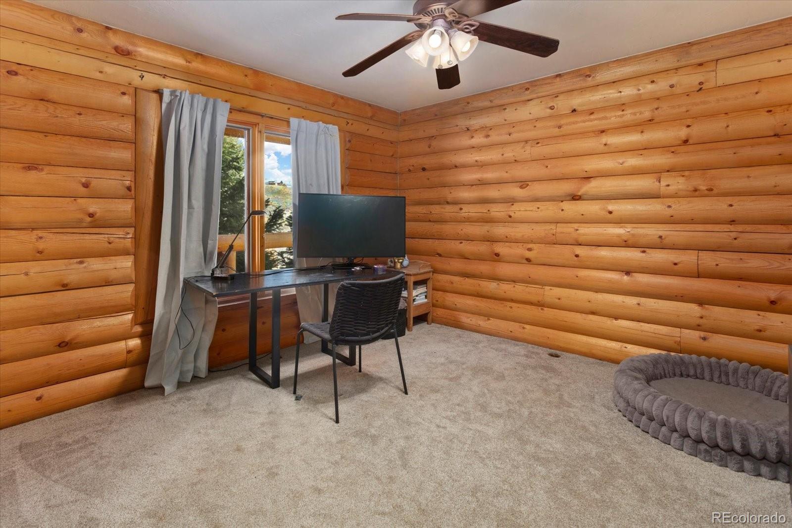 MLS Image #30 for 10818  us highway 24 ,leadville, Colorado
