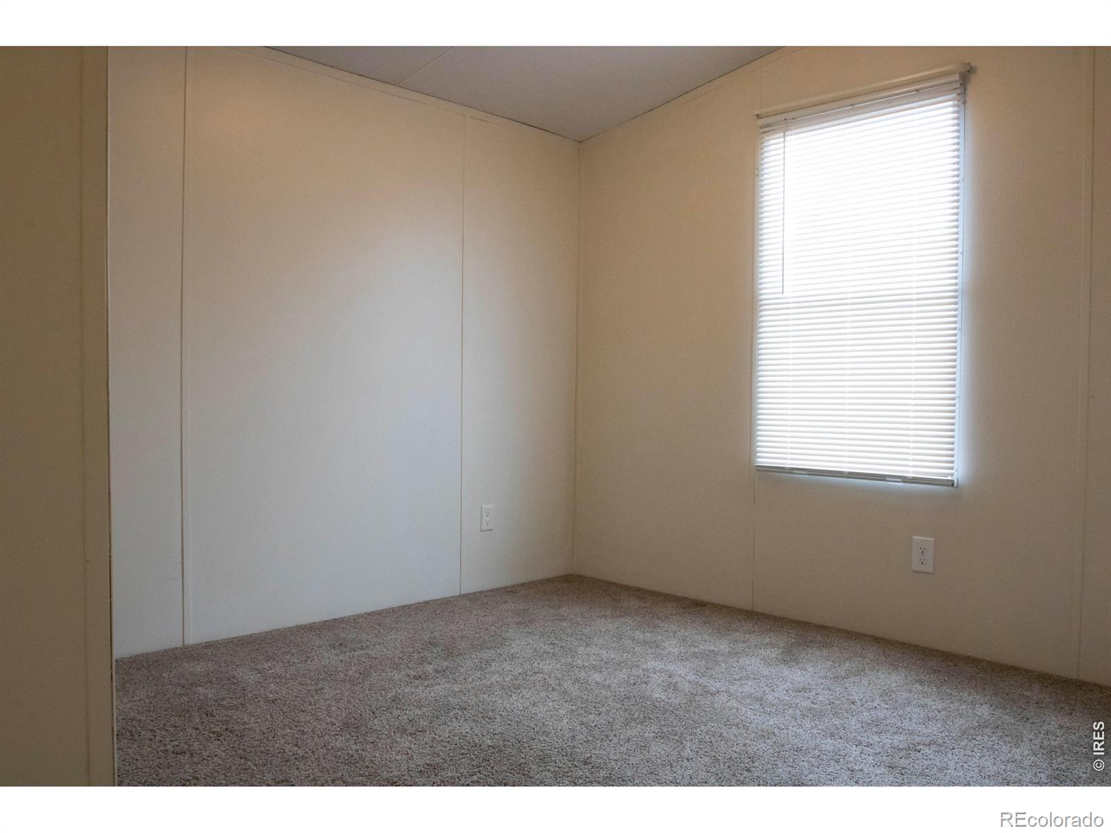 MLS Image #8 for 2811  mango place,loveland, Colorado