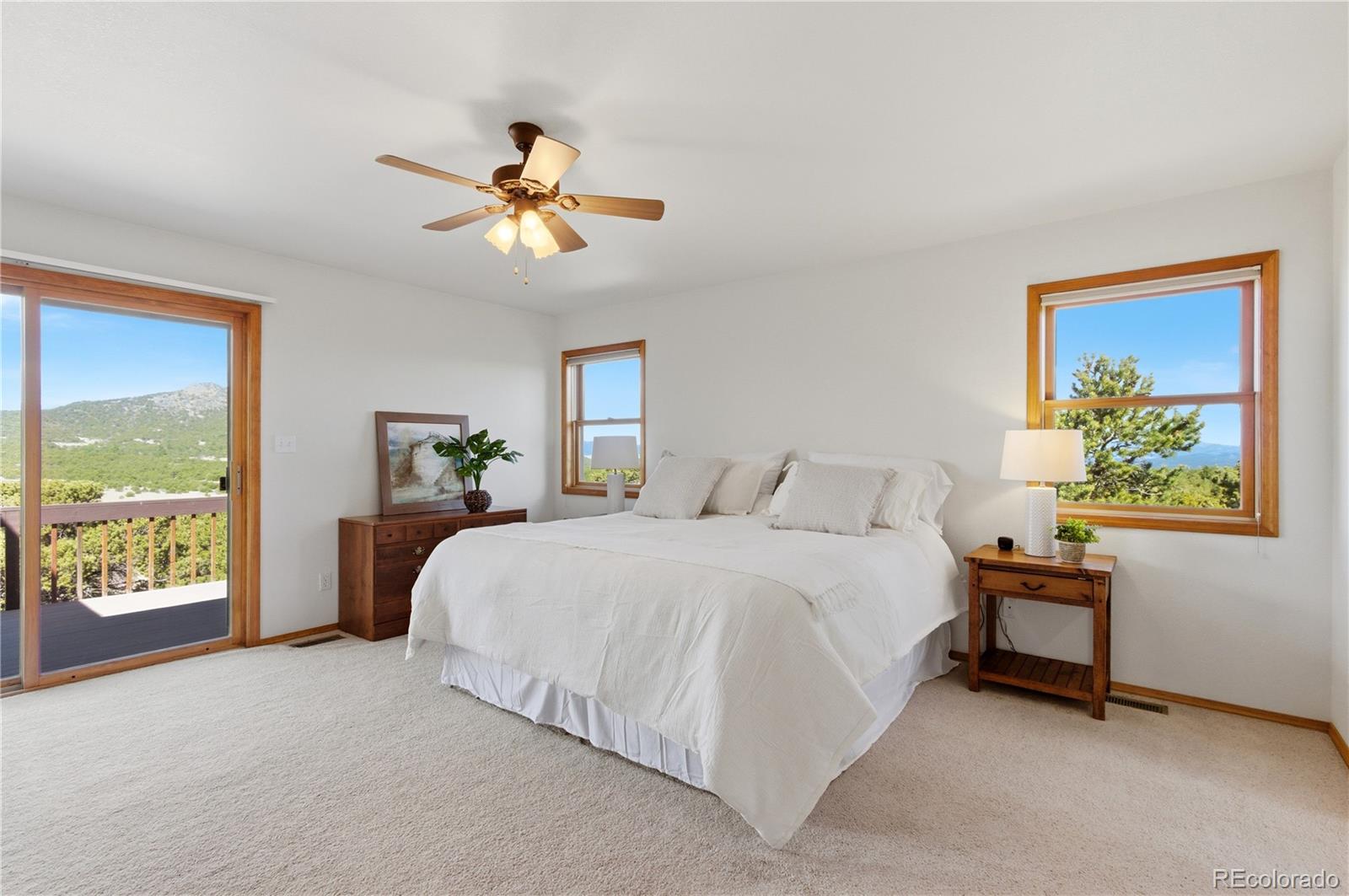 MLS Image #11 for 90  riggs road,westcliffe, Colorado