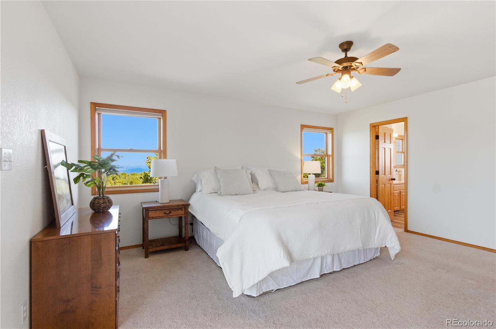 MLS Image #12 for 90  riggs road,westcliffe, Colorado