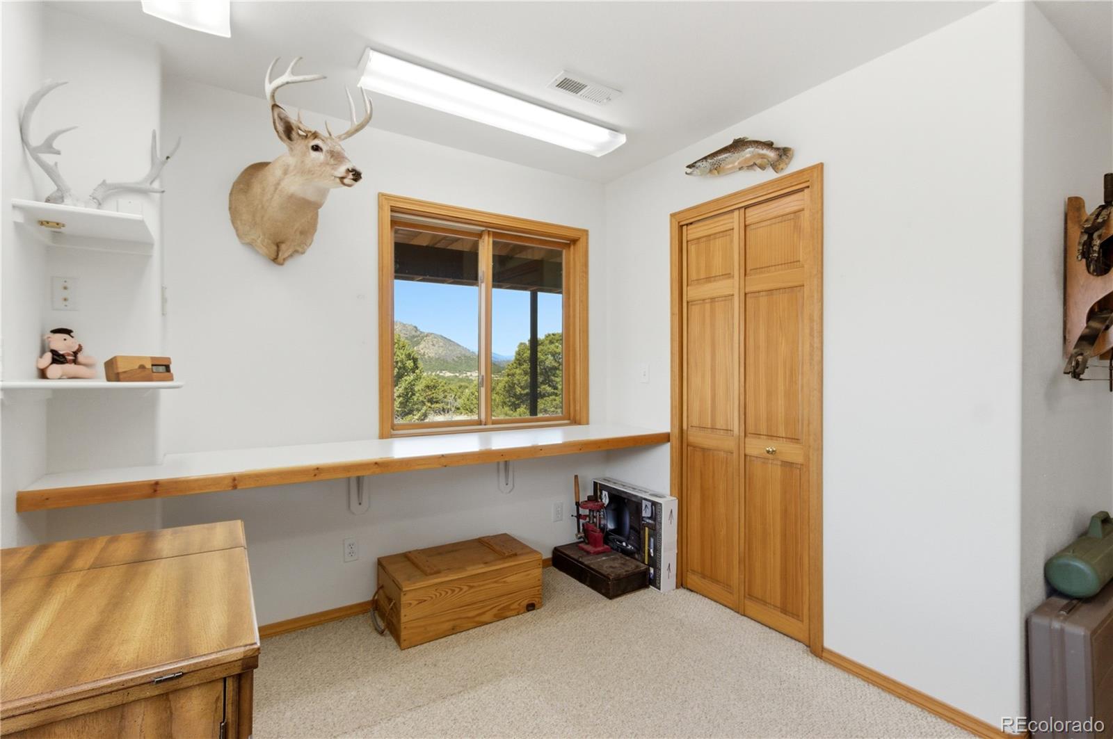 MLS Image #23 for 90  riggs road,westcliffe, Colorado