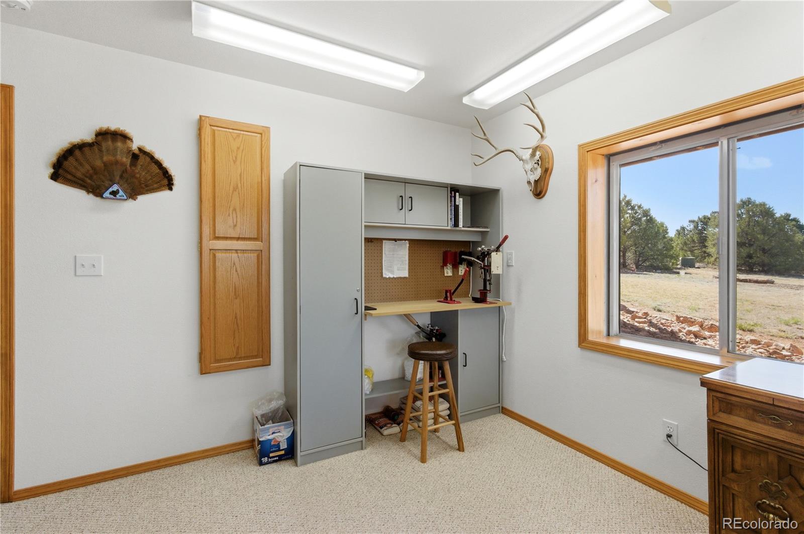 MLS Image #24 for 90  riggs road,westcliffe, Colorado