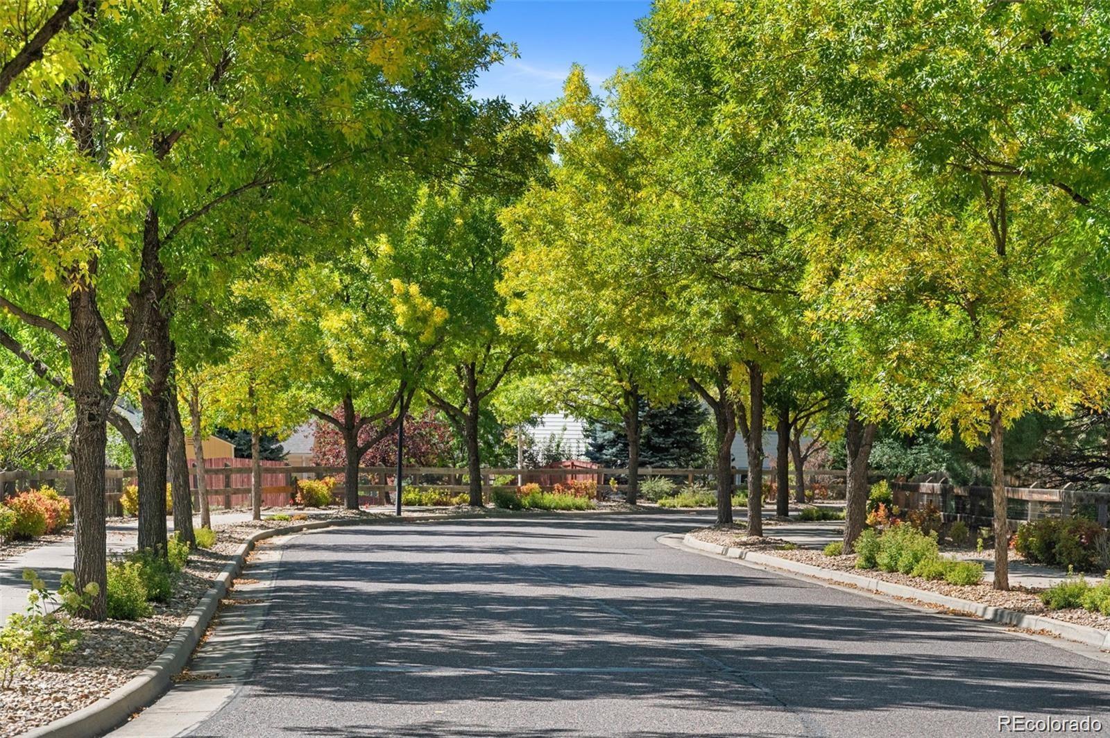 MLS Image #47 for 11351  leyden street,thornton, Colorado
