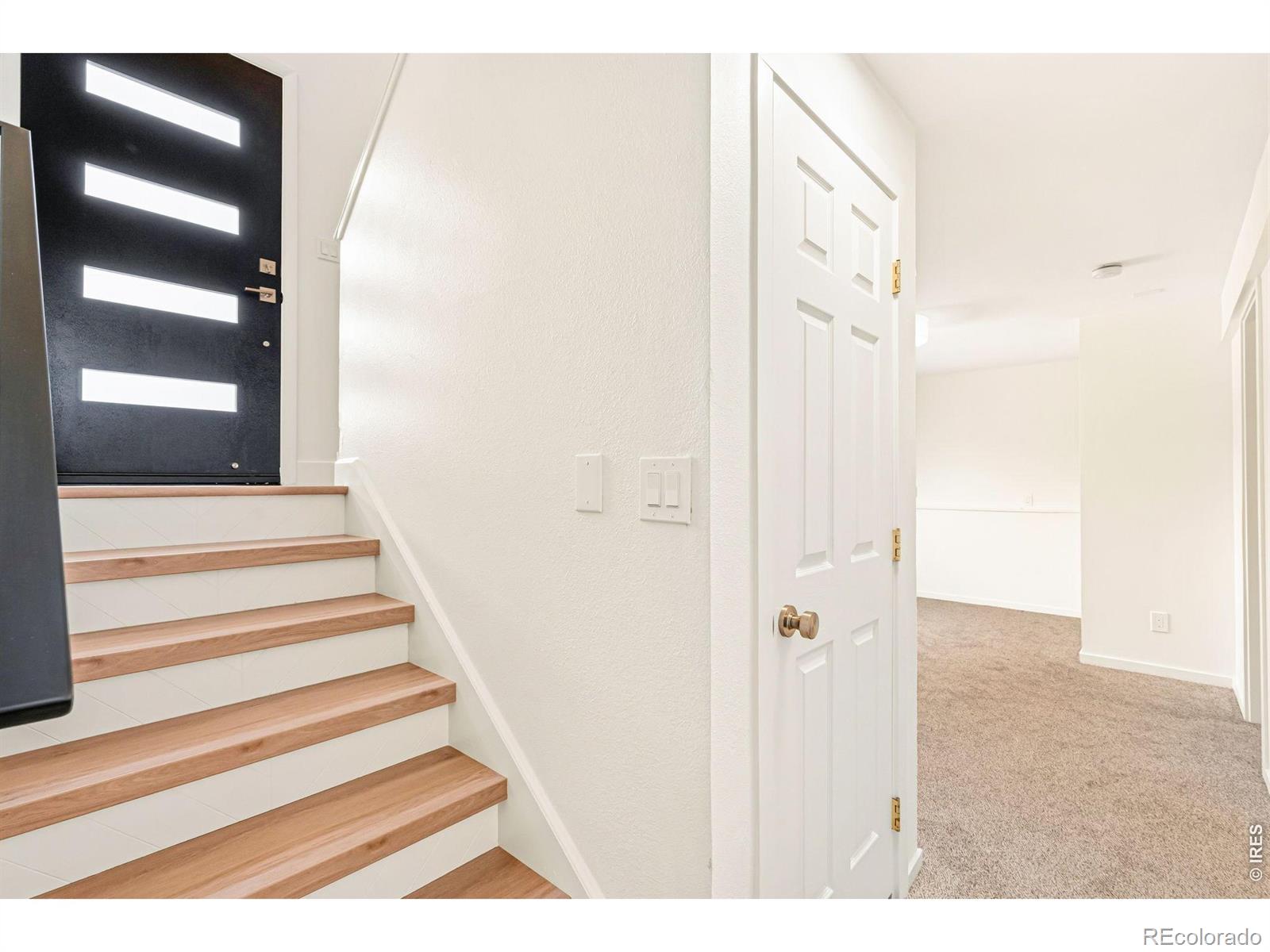 MLS Image #24 for 4433  julian court,fort collins, Colorado