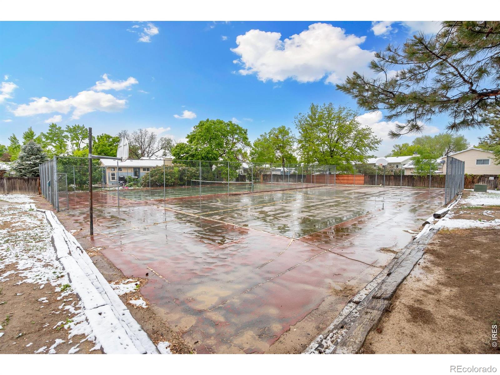 MLS Image #41 for 4433  julian court,fort collins, Colorado