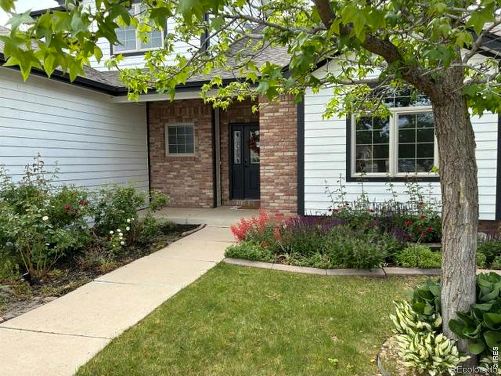 MLS Image #1 for 2036  vineyard court,windsor, Colorado
