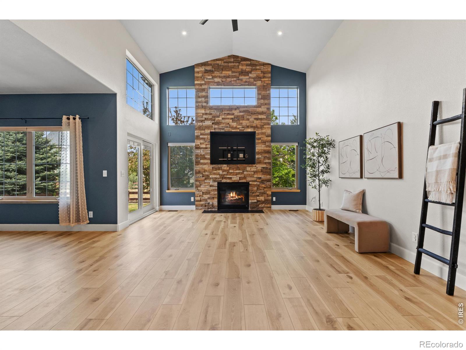 MLS Image #3 for 2036  vineyard court,windsor, Colorado