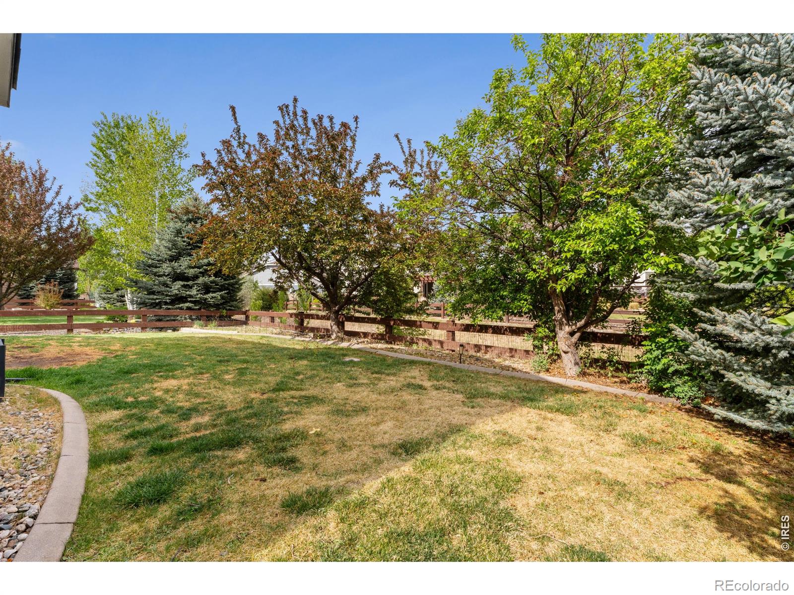 MLS Image #38 for 2036  vineyard court,windsor, Colorado