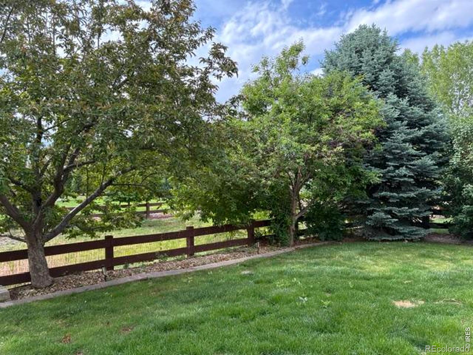 MLS Image #39 for 2036  vineyard court,windsor, Colorado