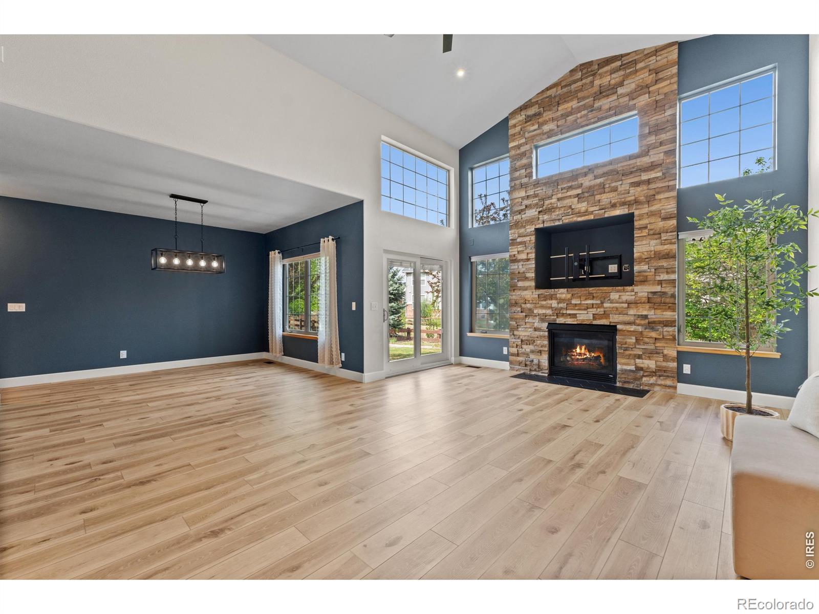 MLS Image #4 for 2036  vineyard court,windsor, Colorado