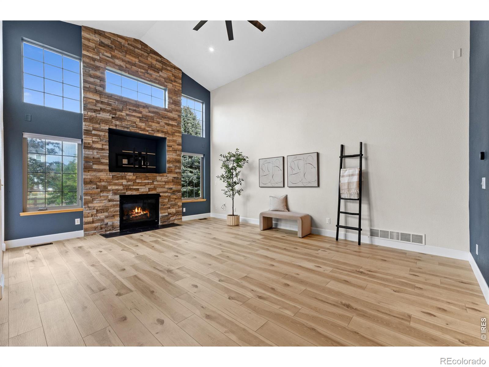 MLS Image #5 for 2036  vineyard court,windsor, Colorado