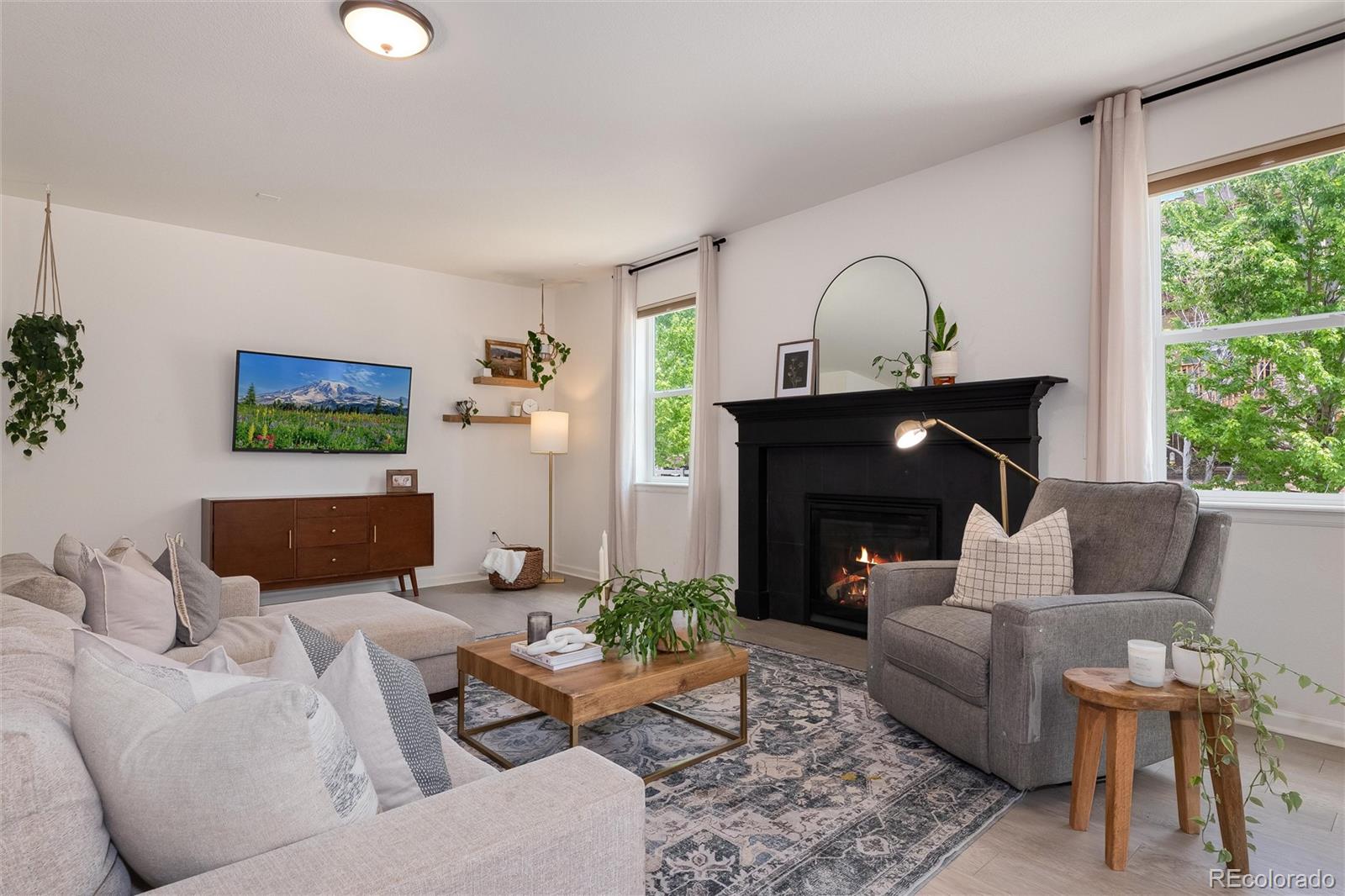 MLS Image #17 for 15964  maroon bells drive,broomfield, Colorado