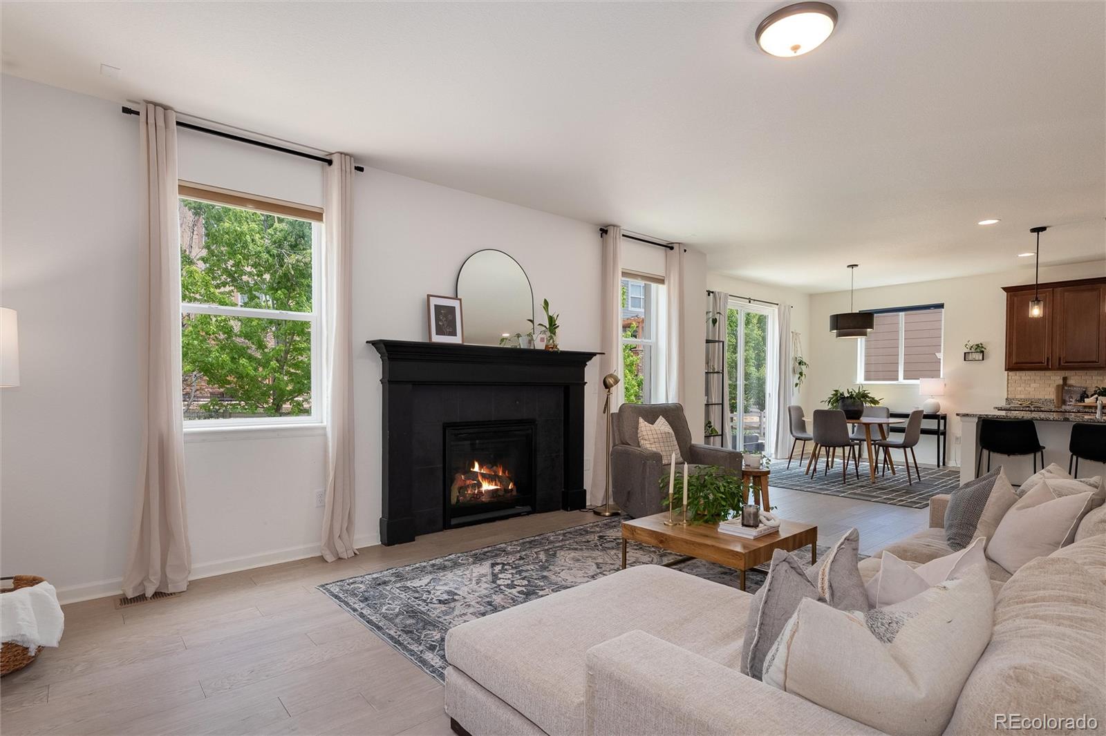 MLS Image #18 for 15964  maroon bells drive,broomfield, Colorado