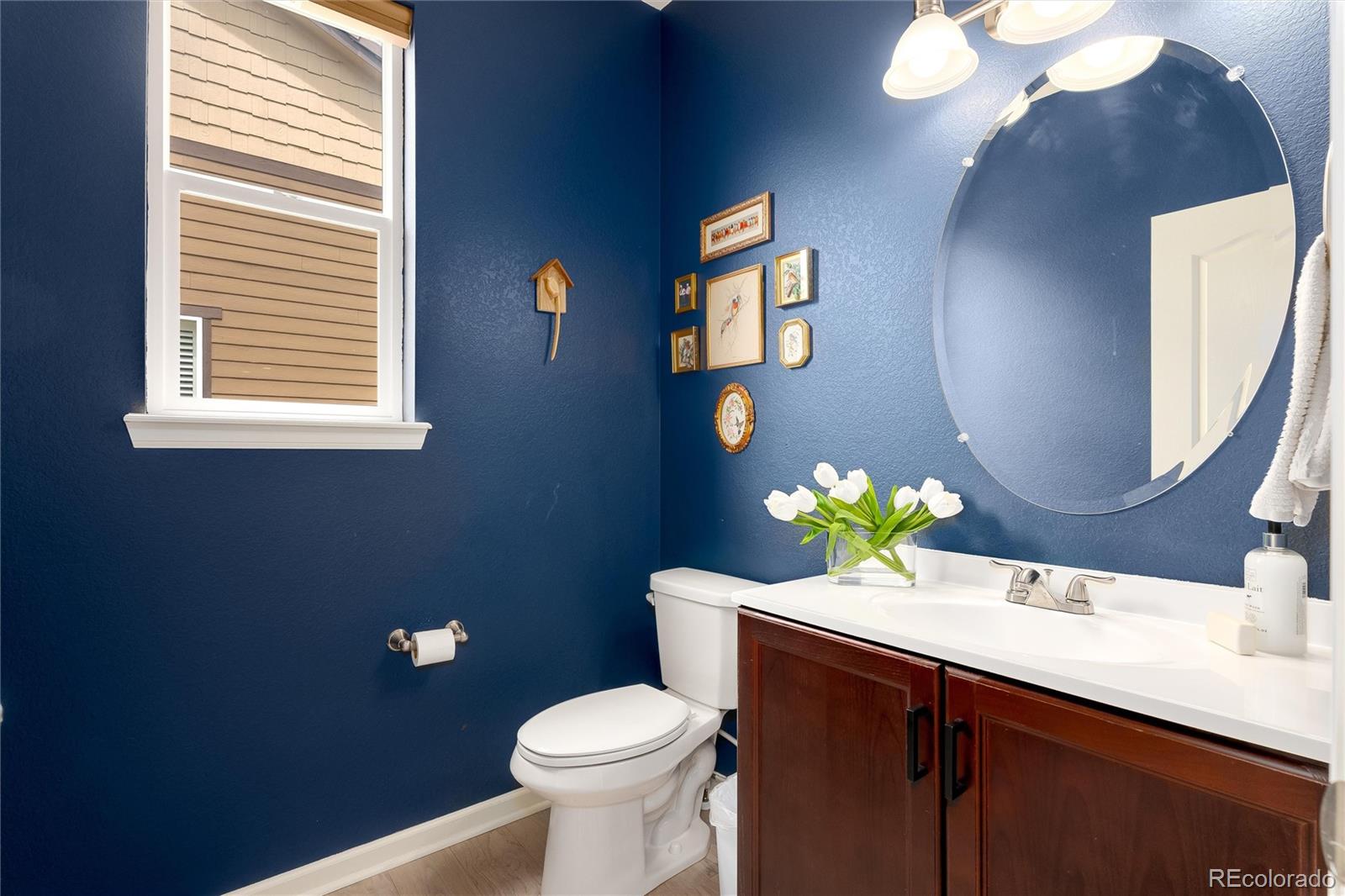 MLS Image #21 for 15964  maroon bells drive,broomfield, Colorado