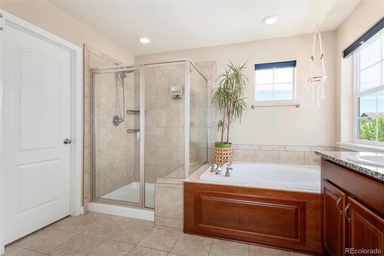 MLS Image #28 for 15964  maroon bells drive,broomfield, Colorado