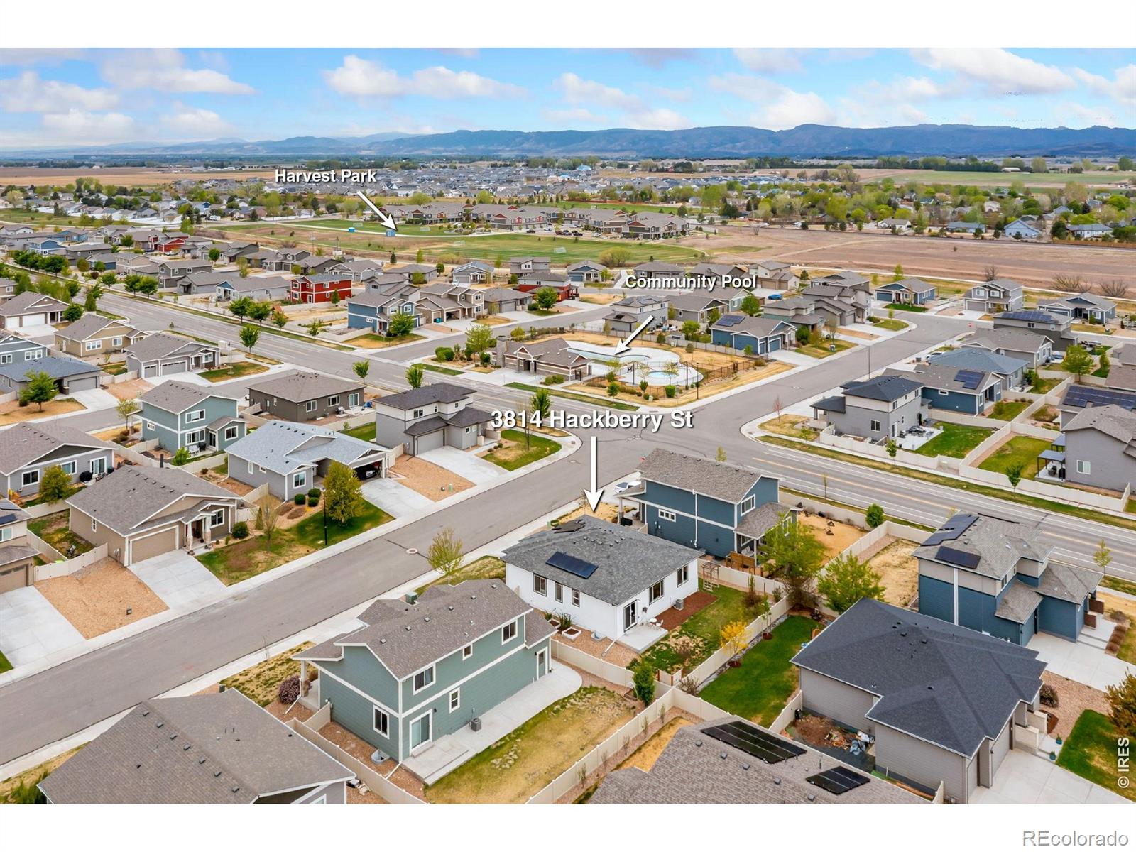 MLS Image #1 for 3814  hackberry street,wellington, Colorado