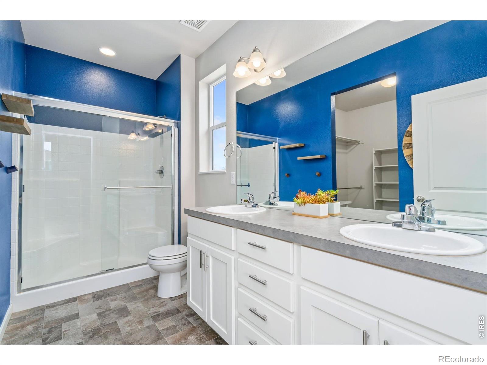 MLS Image #20 for 3814  hackberry street,wellington, Colorado