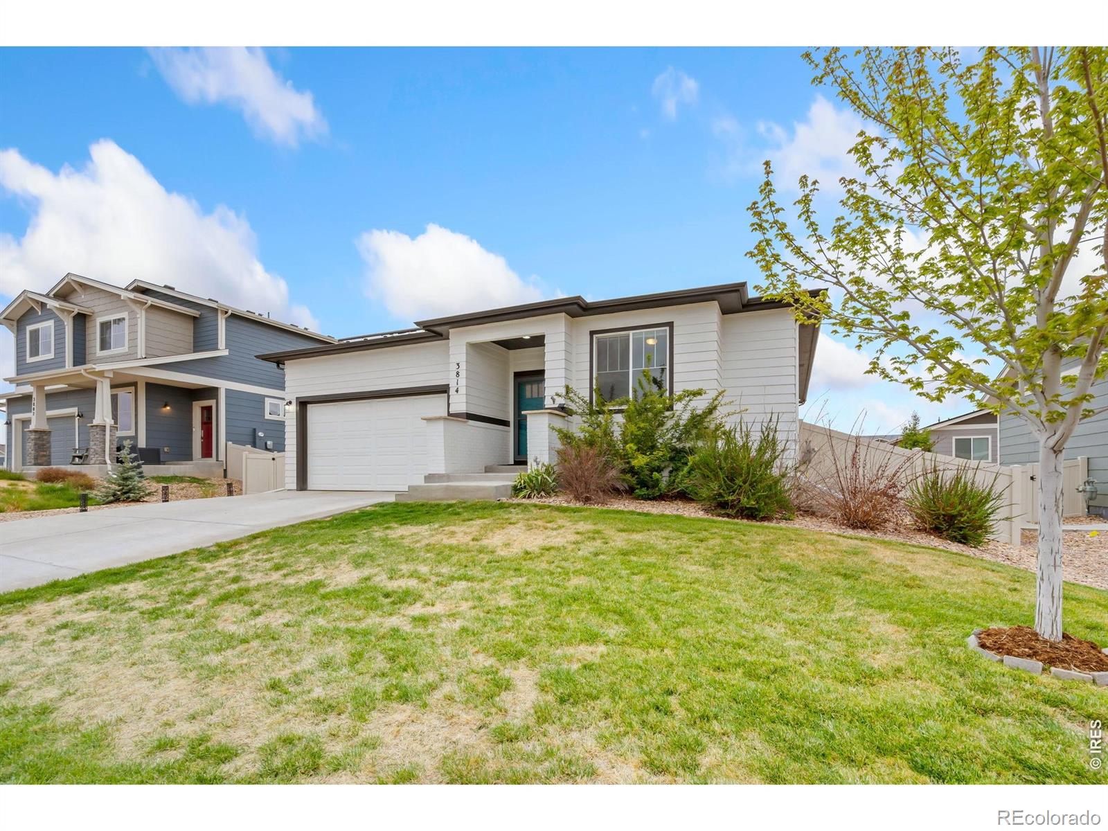 MLS Image #3 for 3814  hackberry street,wellington, Colorado