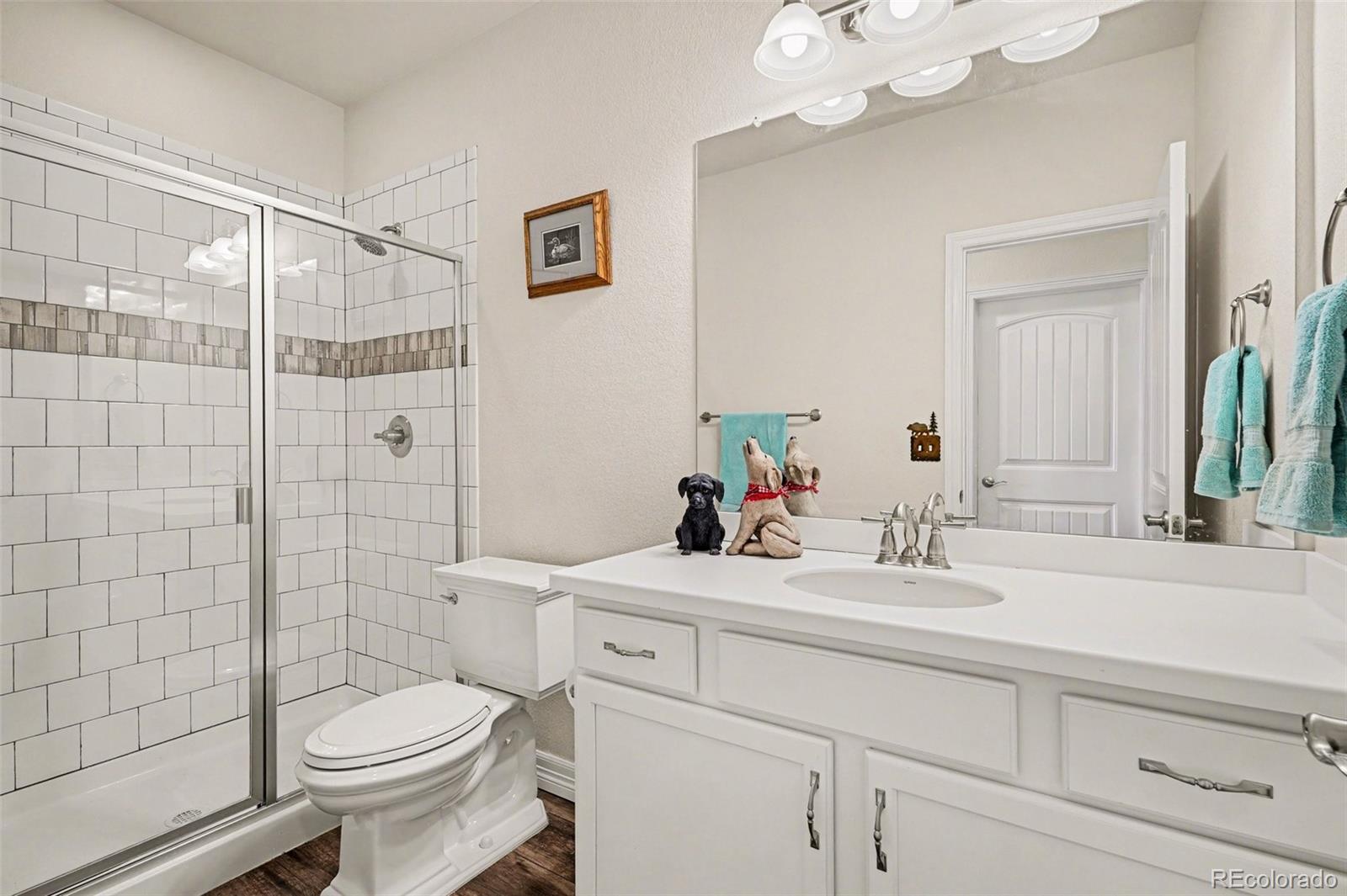 MLS Image #16 for 6142  leilani lane,castle rock, Colorado
