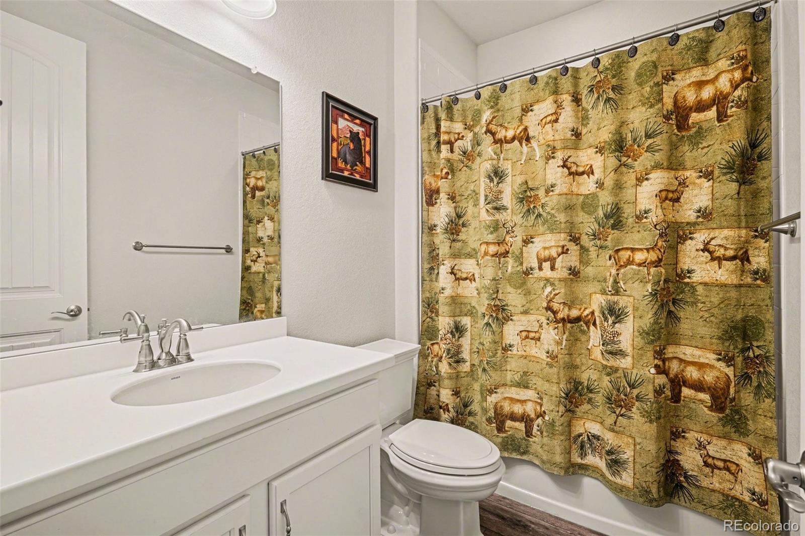 MLS Image #24 for 6142  leilani lane,castle rock, Colorado