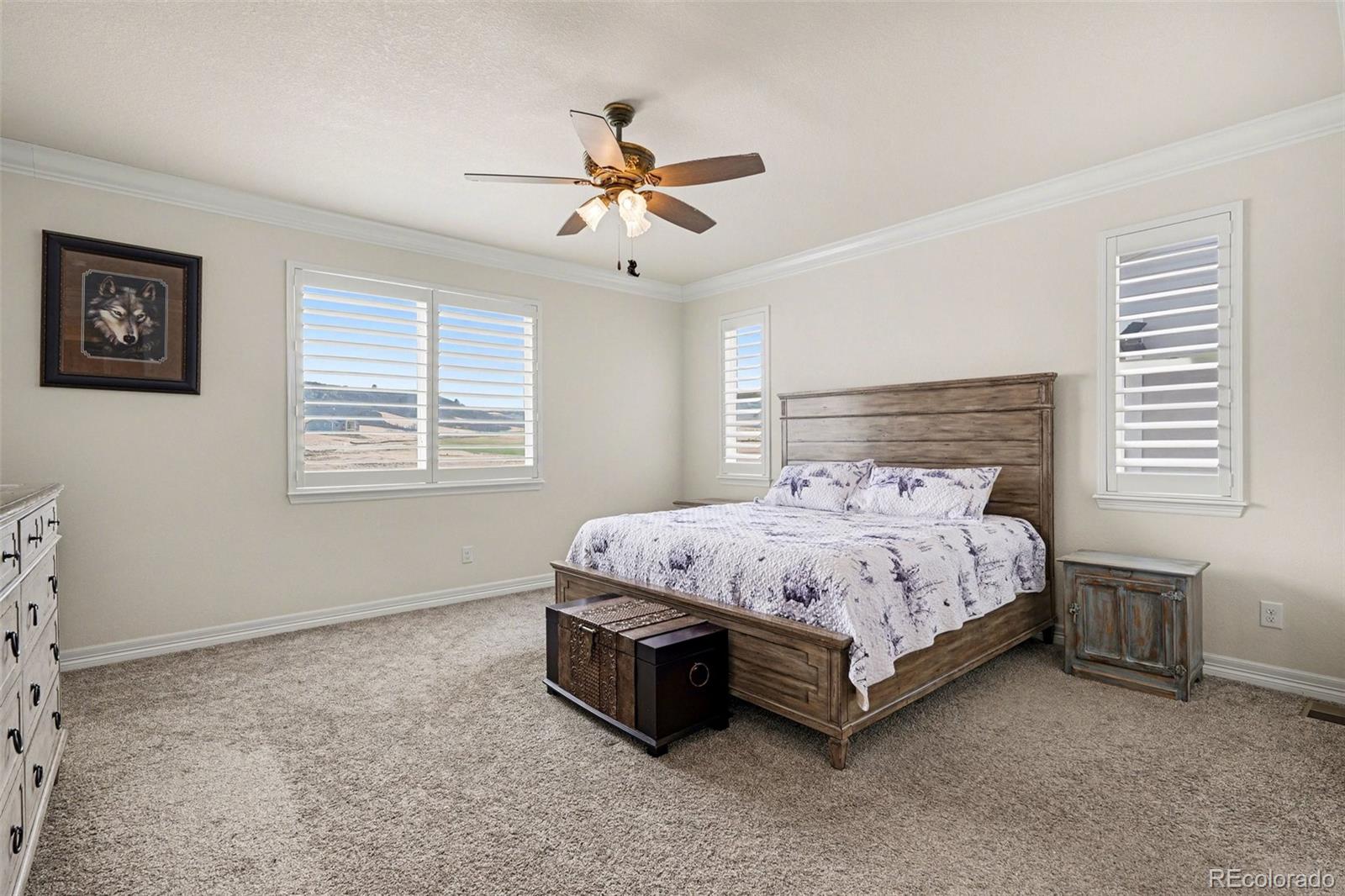 MLS Image #9 for 6142  leilani lane,castle rock, Colorado