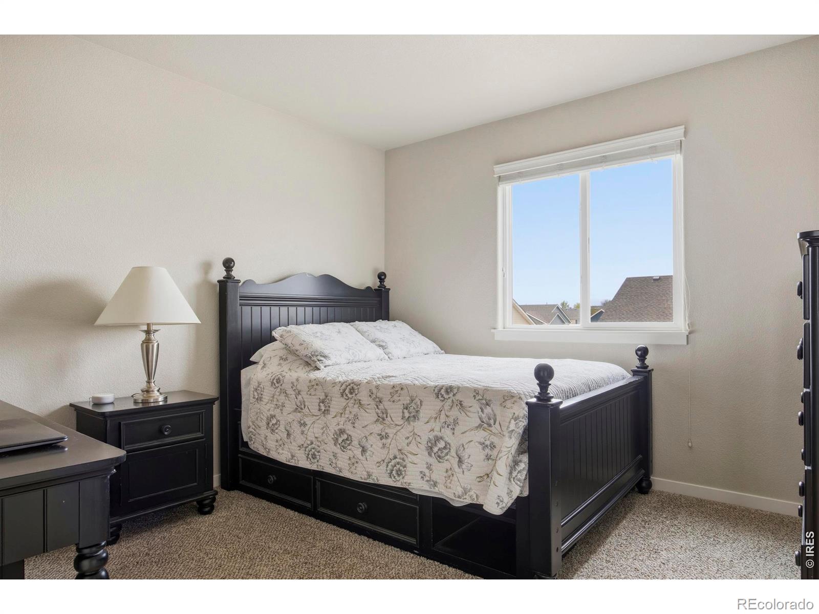 MLS Image #28 for 6987  meade street,wellington, Colorado