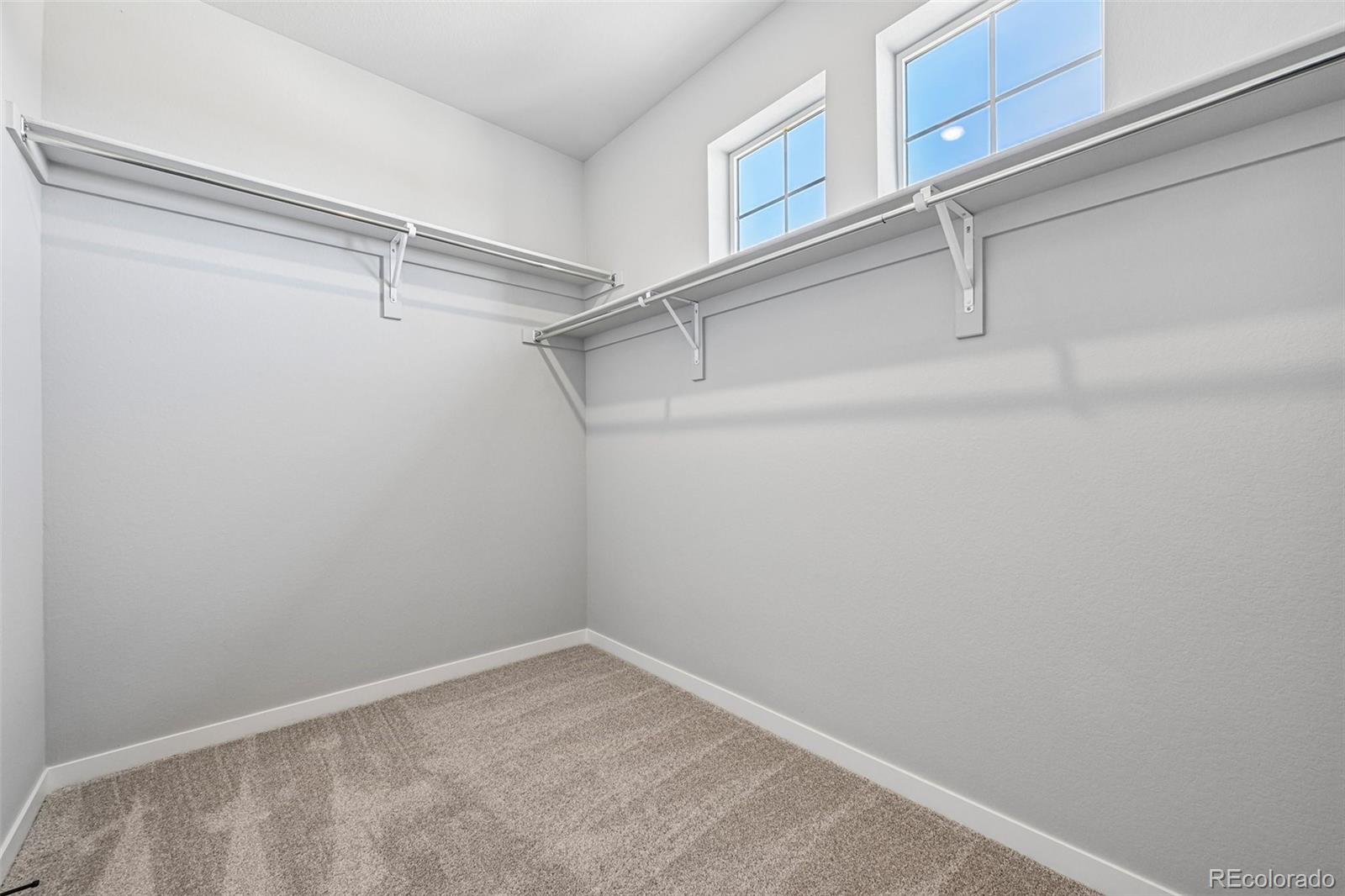 MLS Image #17 for 13795  daffodil way,parker, Colorado