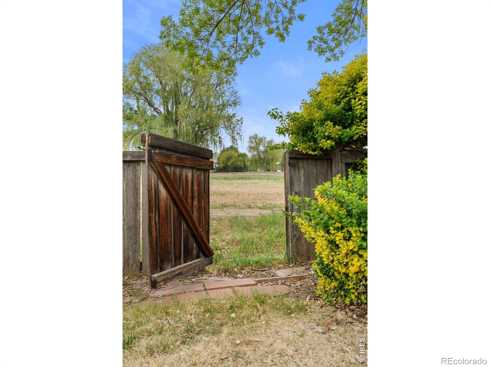 MLS Image #44 for 1201  twinberry court,fort collins, Colorado