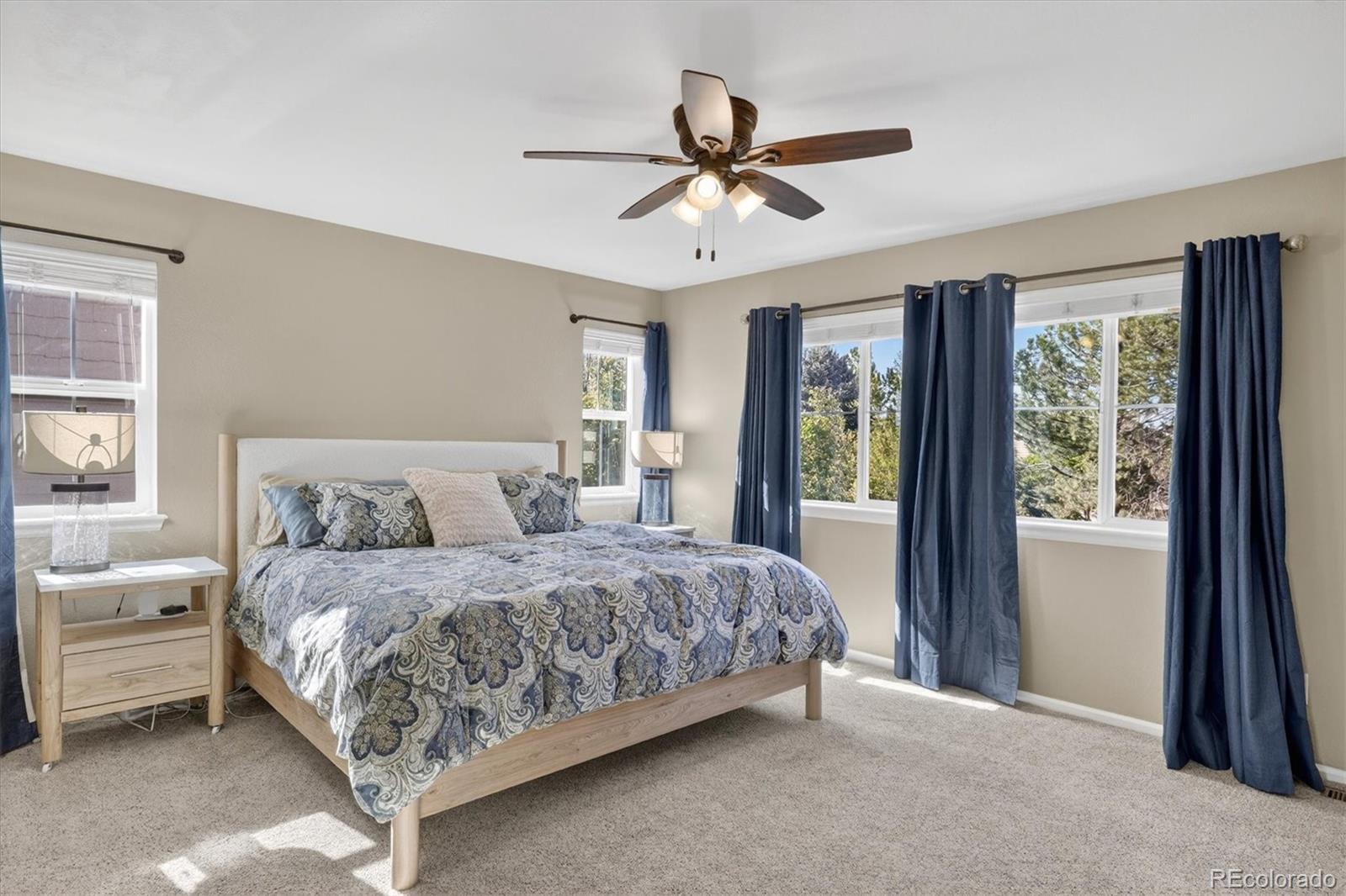 MLS Image #13 for 15191 e crestline avenue,centennial, Colorado