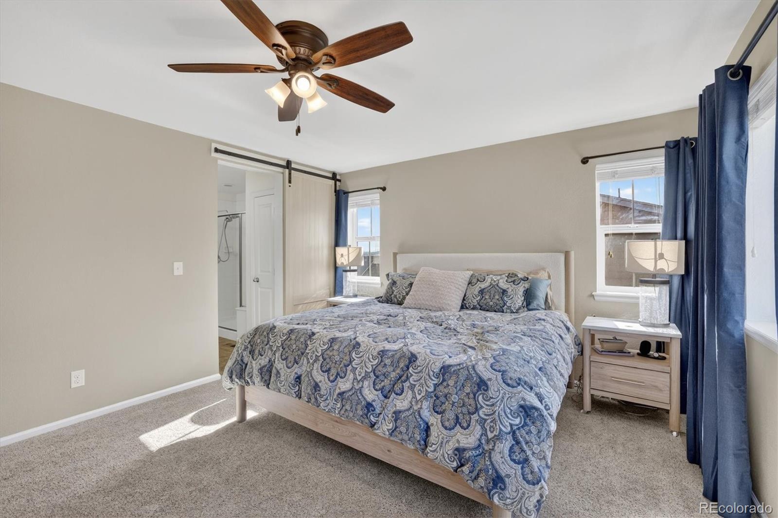MLS Image #14 for 15191 e crestline avenue,centennial, Colorado