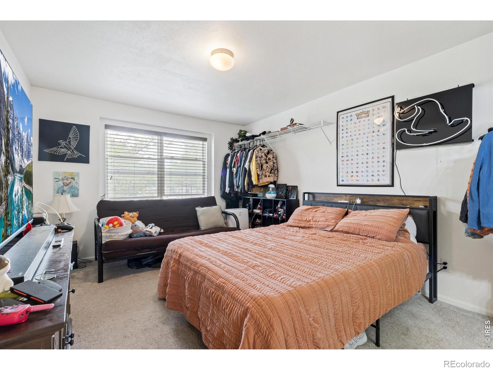 MLS Image #11 for 6615  desert willow way,fort collins, Colorado