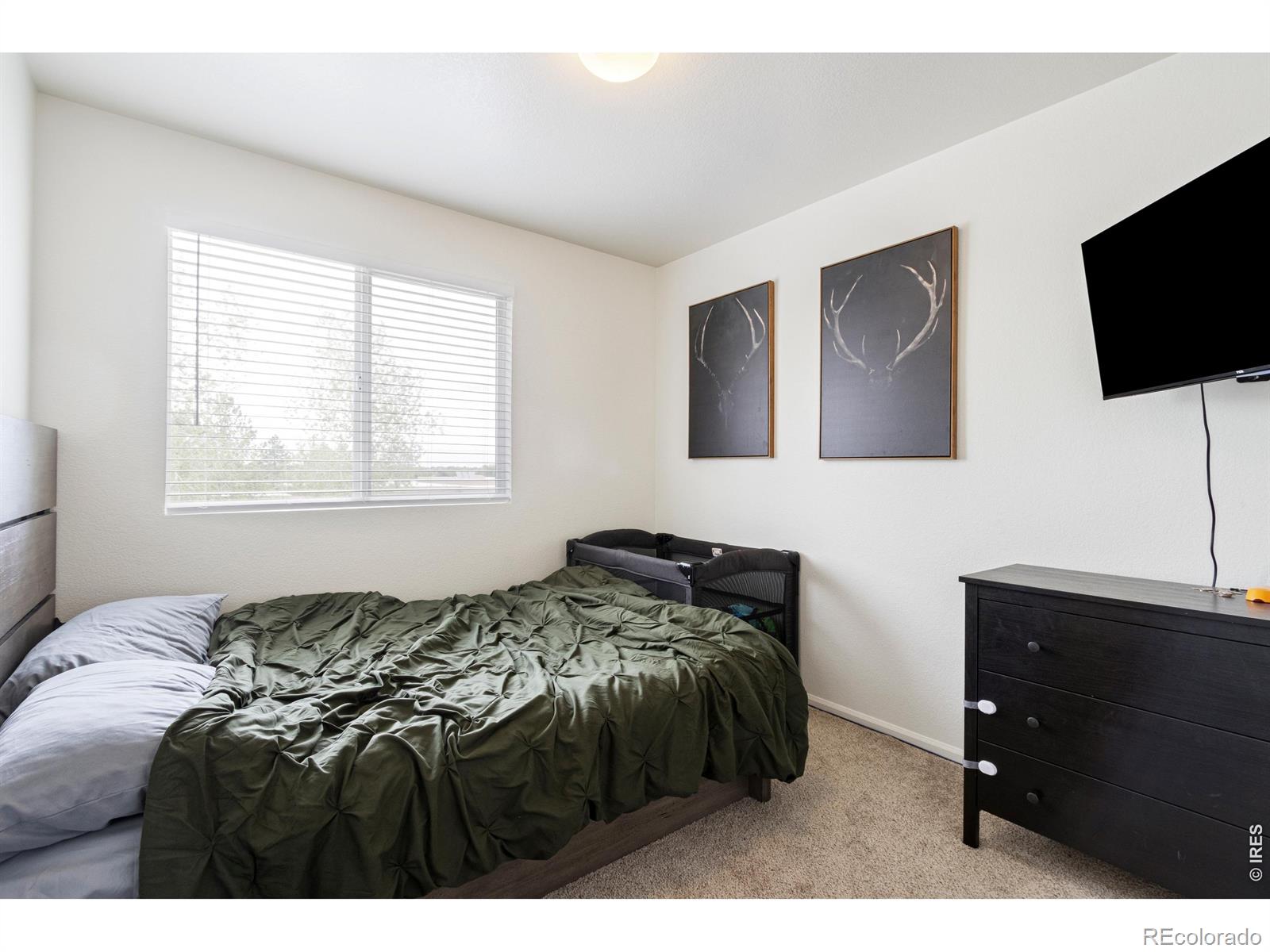 MLS Image #15 for 6615  desert willow way,fort collins, Colorado