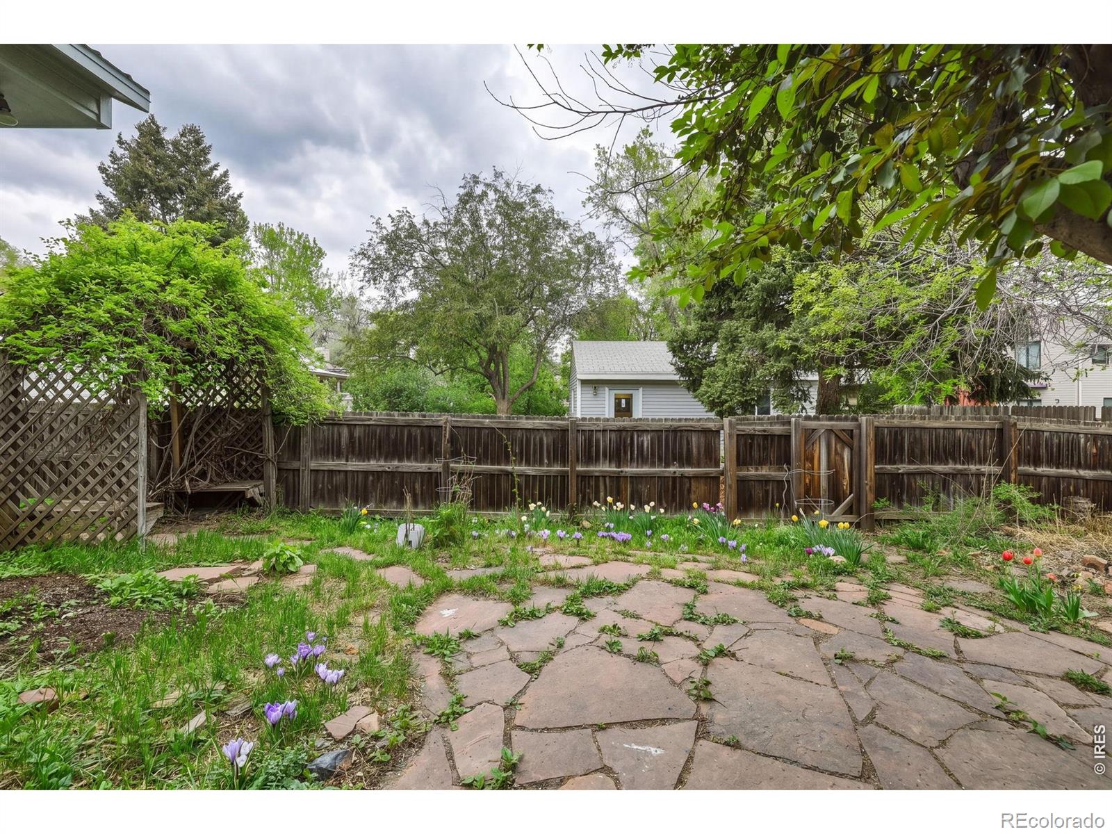 MLS Image #28 for 556  grant avenue,louisville, Colorado