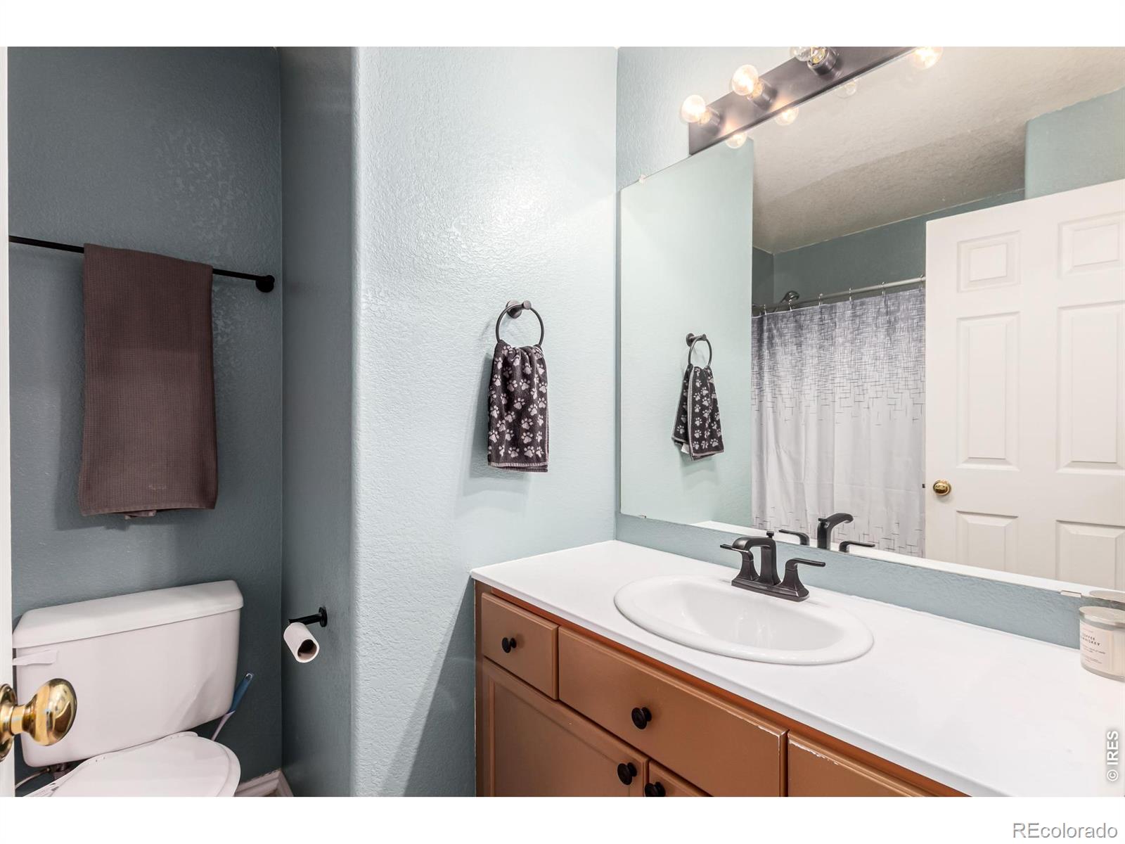 MLS Image #26 for 9712  queenscliffe drive,highlands ranch, Colorado