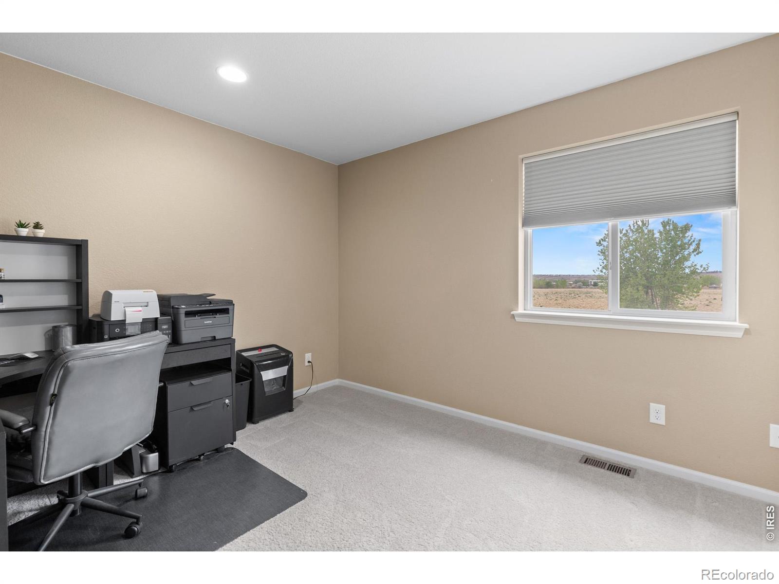 MLS Image #20 for 1647  stoll drive,windsor, Colorado