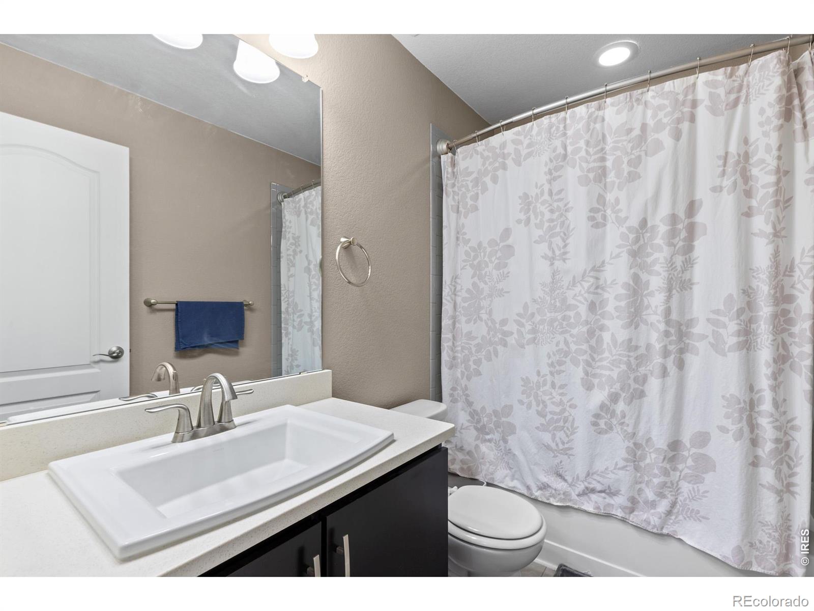 MLS Image #22 for 1647  stoll drive,windsor, Colorado