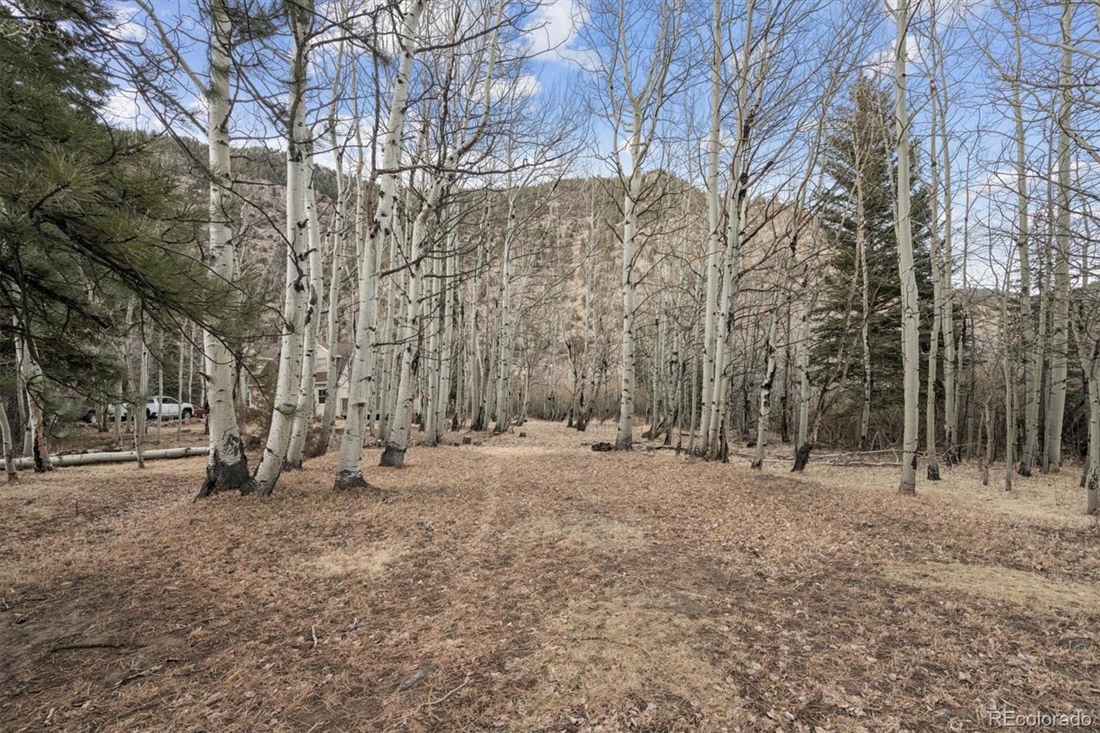 MLS Image #36 for 74  silver lode circle,dumont, Colorado