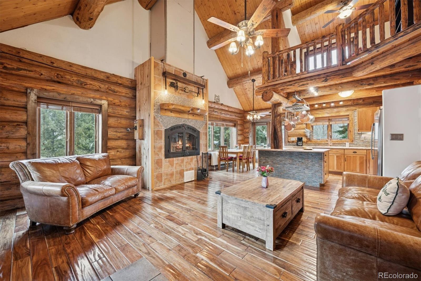 MLS Image #4 for 74  silver lode circle,dumont, Colorado