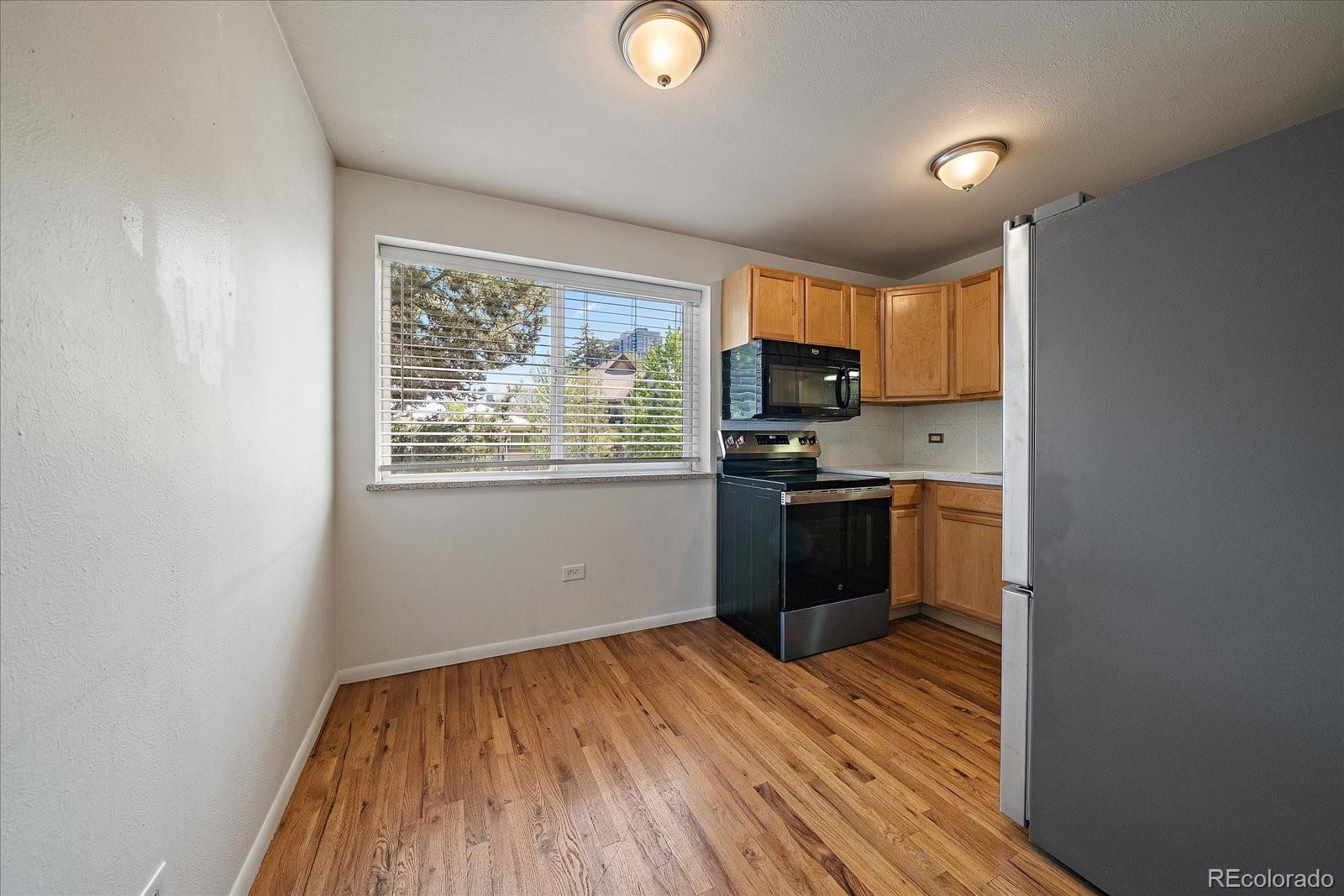 MLS Image #3 for 21 n washington street,denver, Colorado
