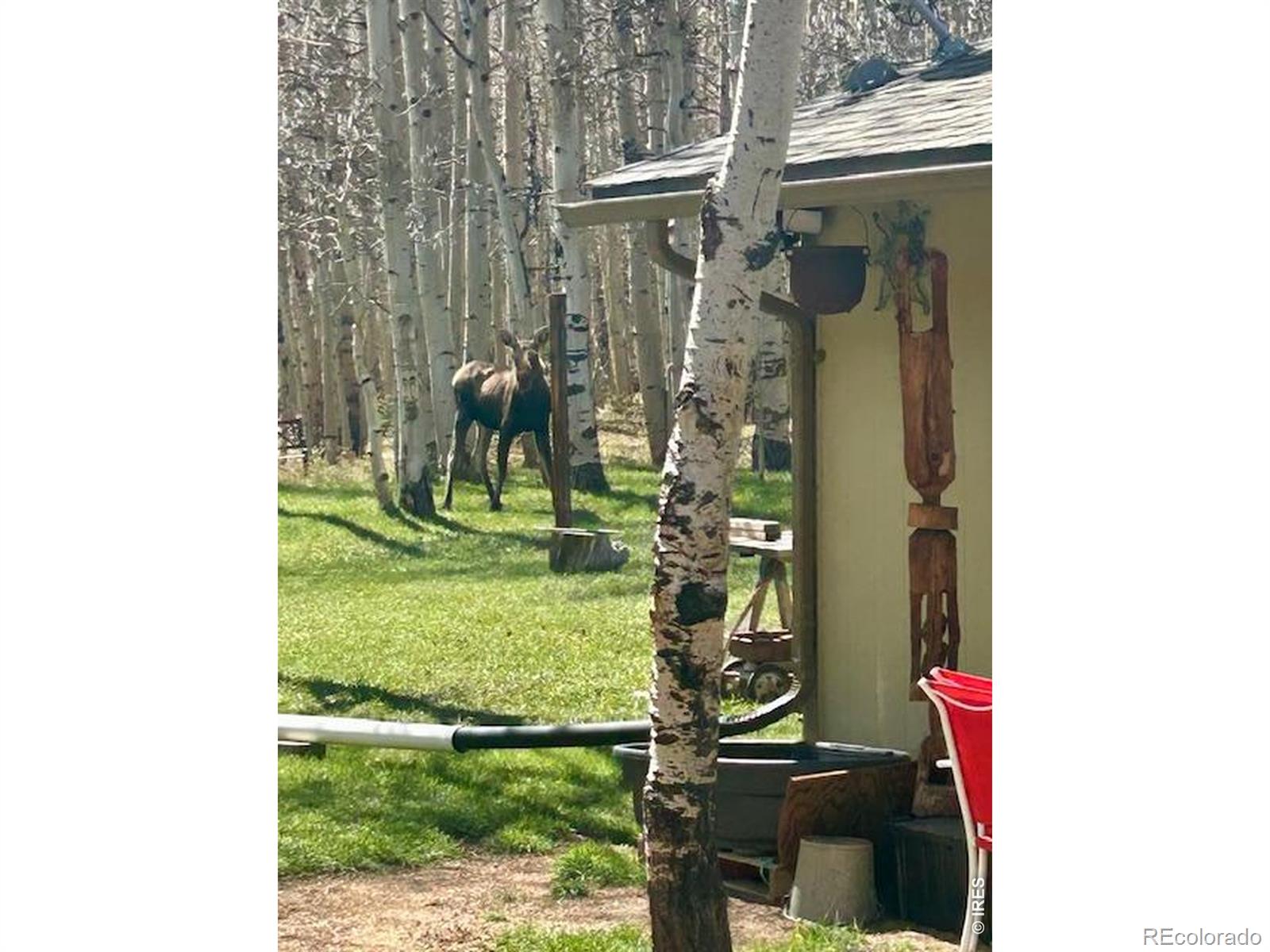 MLS Image #21 for 1746  lump gulch road,black hawk, Colorado