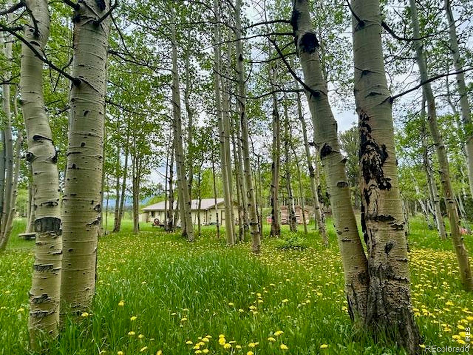MLS Image #22 for 1746  lump gulch road,black hawk, Colorado
