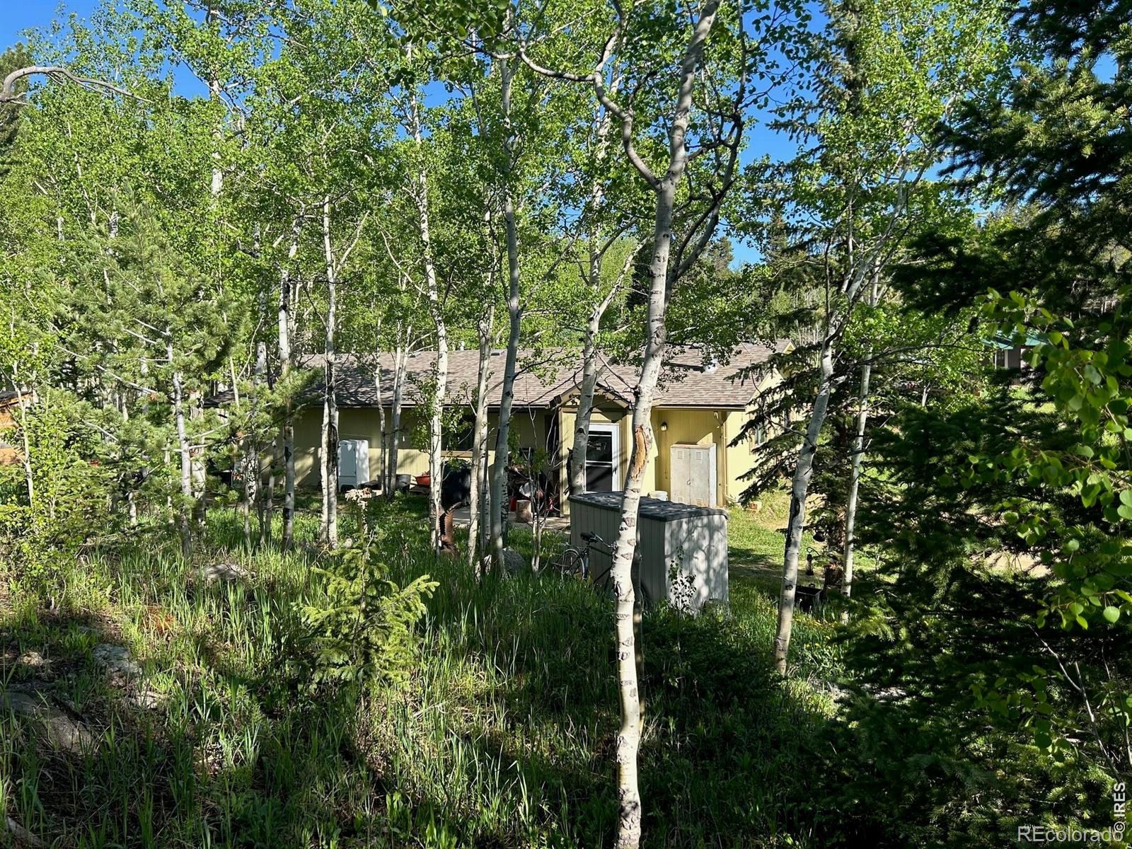 MLS Image #37 for 1746  lump gulch road,black hawk, Colorado